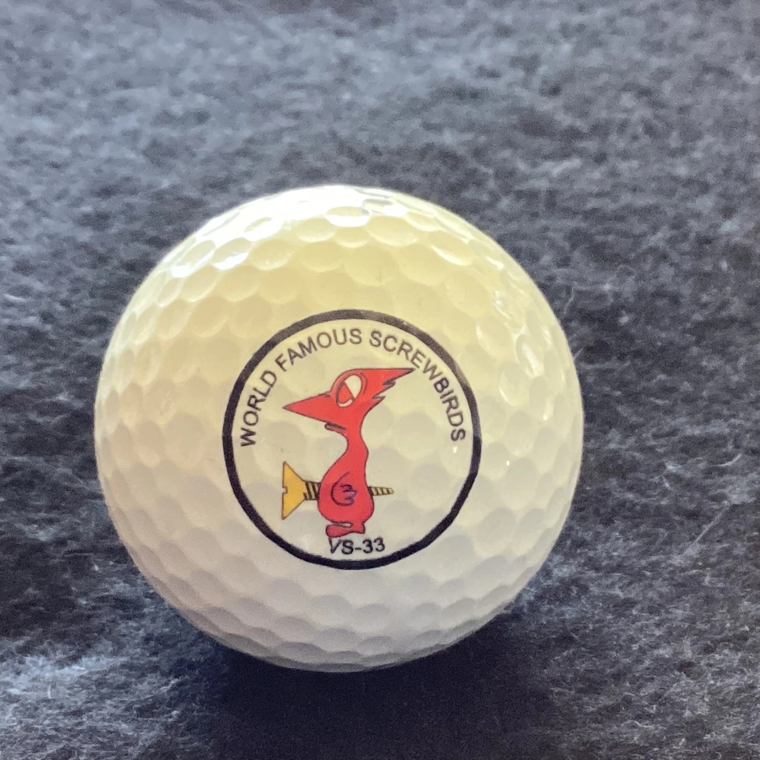 US Navy Sea Control Squadron 33 - Screwbirds