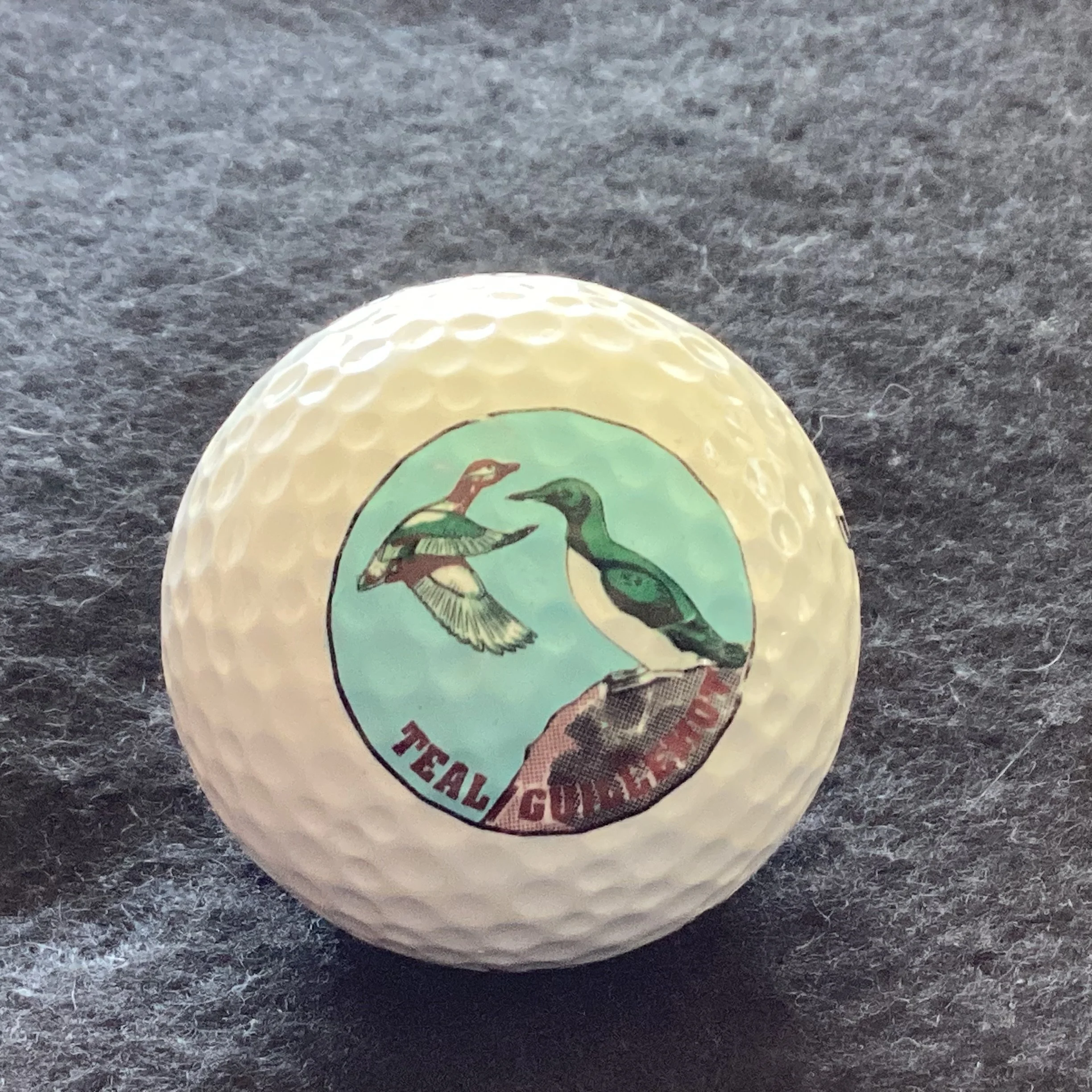 Birds - Teal Duck and Guillemot 