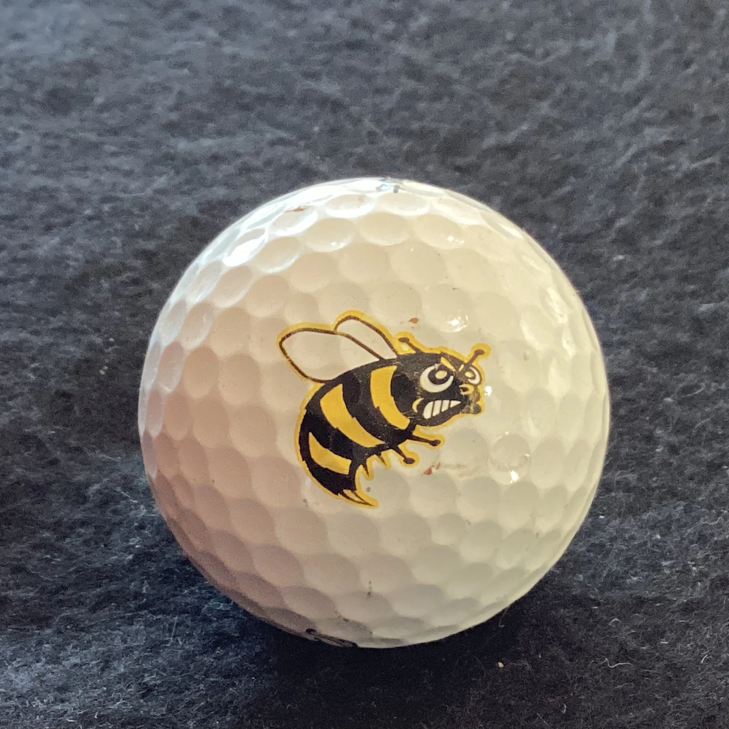 Georgia Tech Yellow Jackets