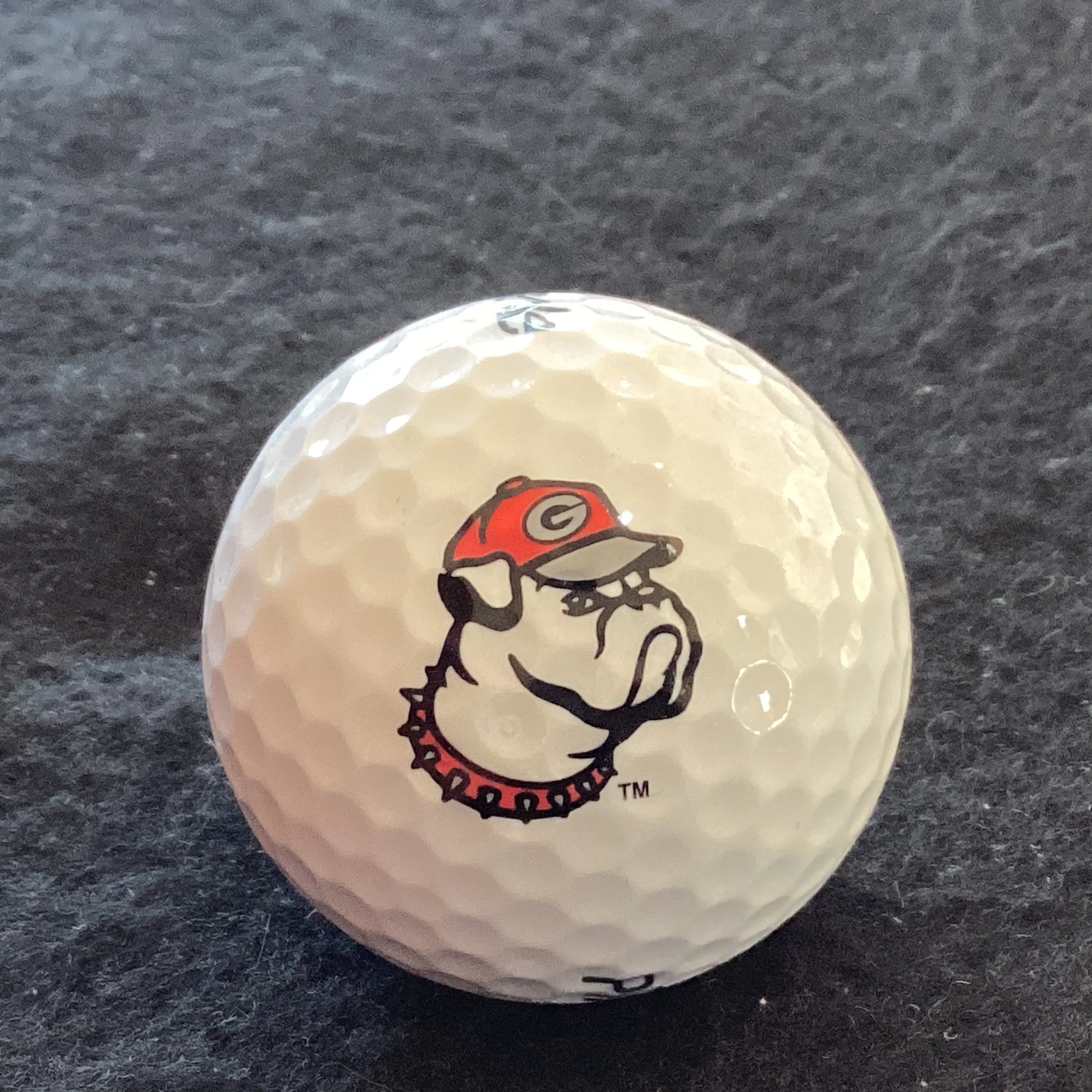 University of Georgia Bulldogs
