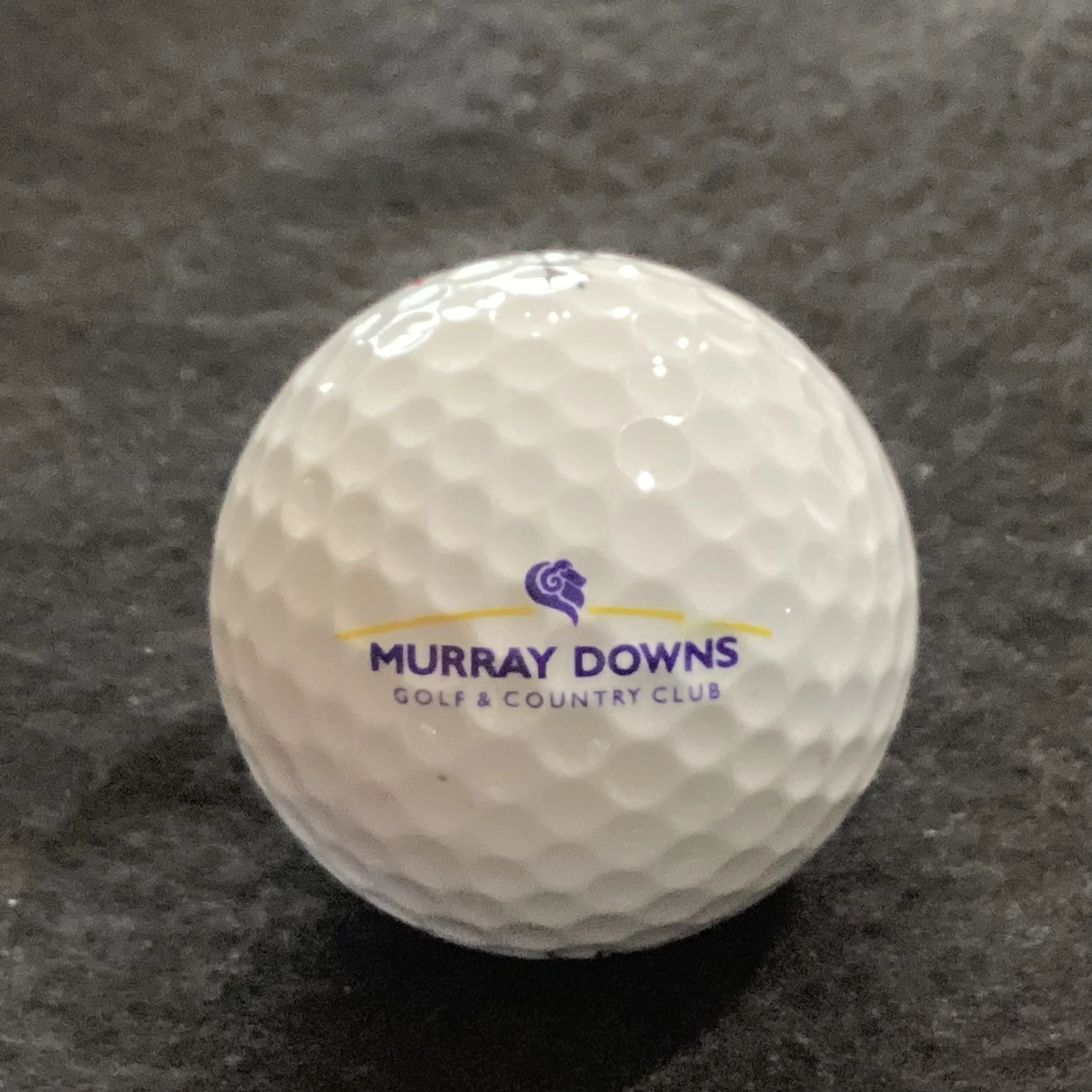 Murray Downs Golf and Country Club 