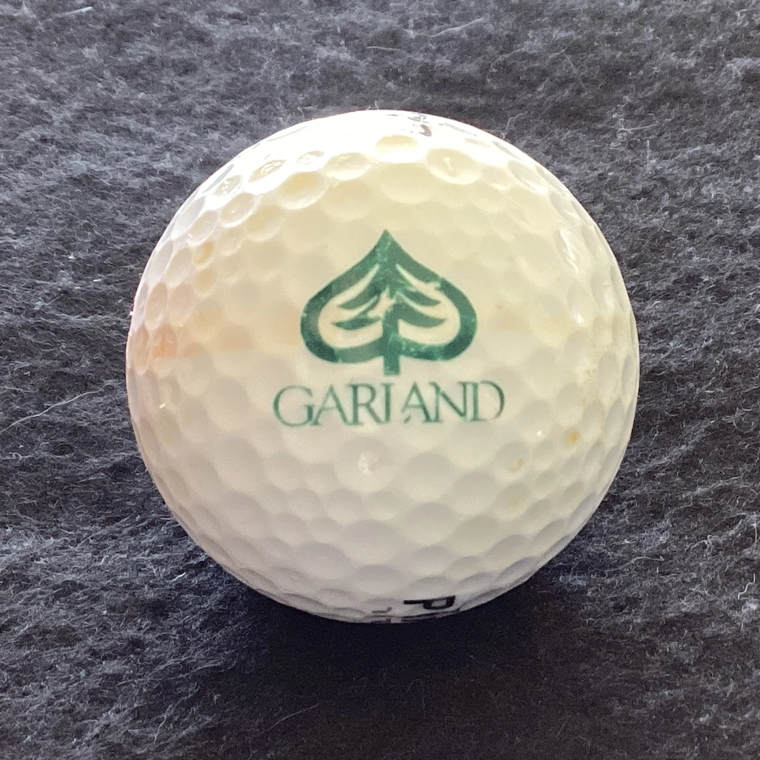 Garland Lodge and Golf Resort 