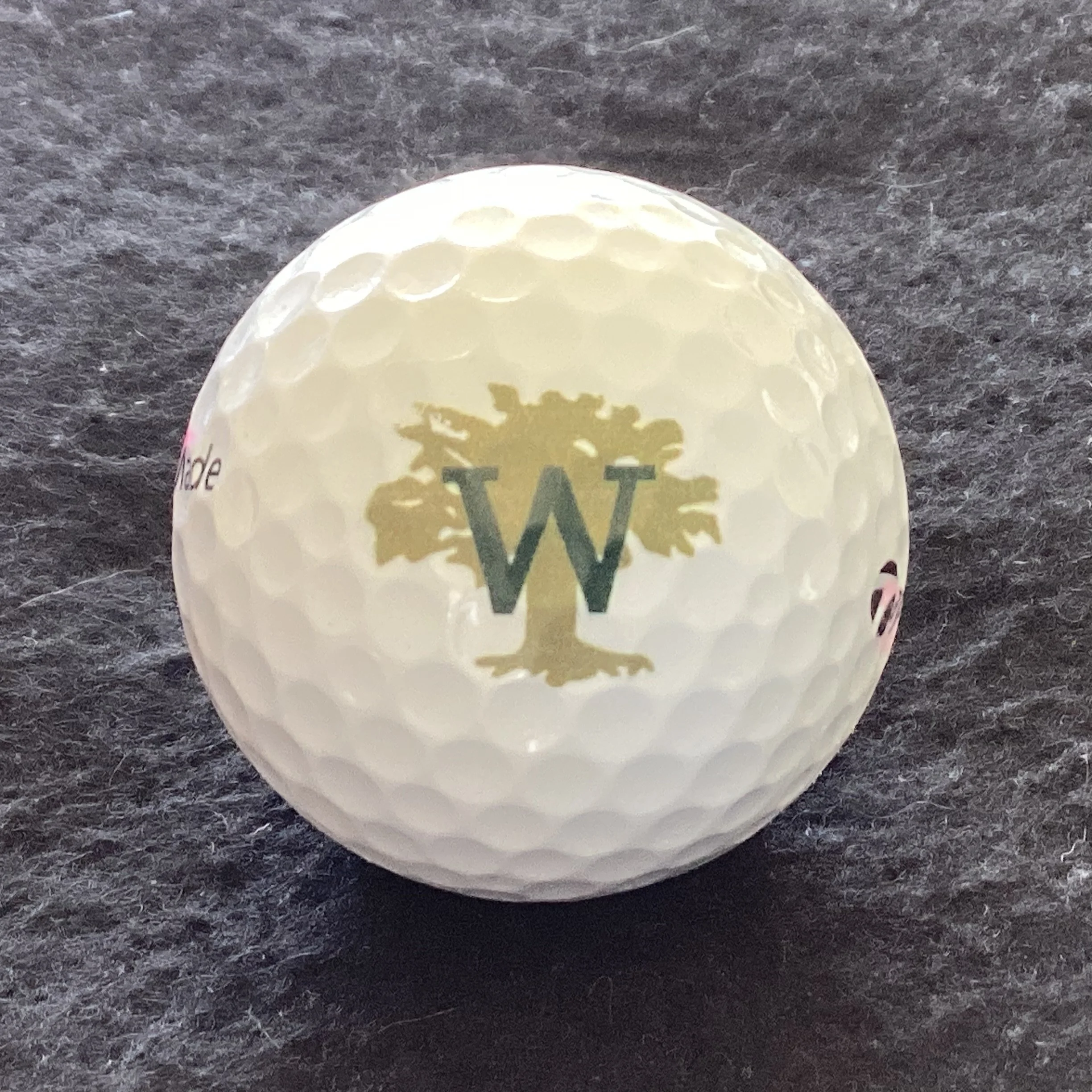 W over Tree Logo