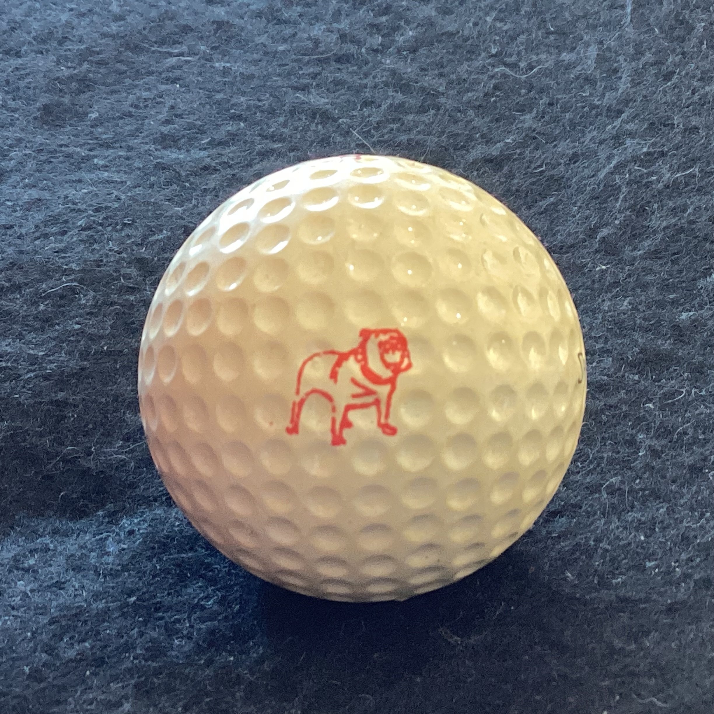 Mack Trucks Bulldog Mascot 