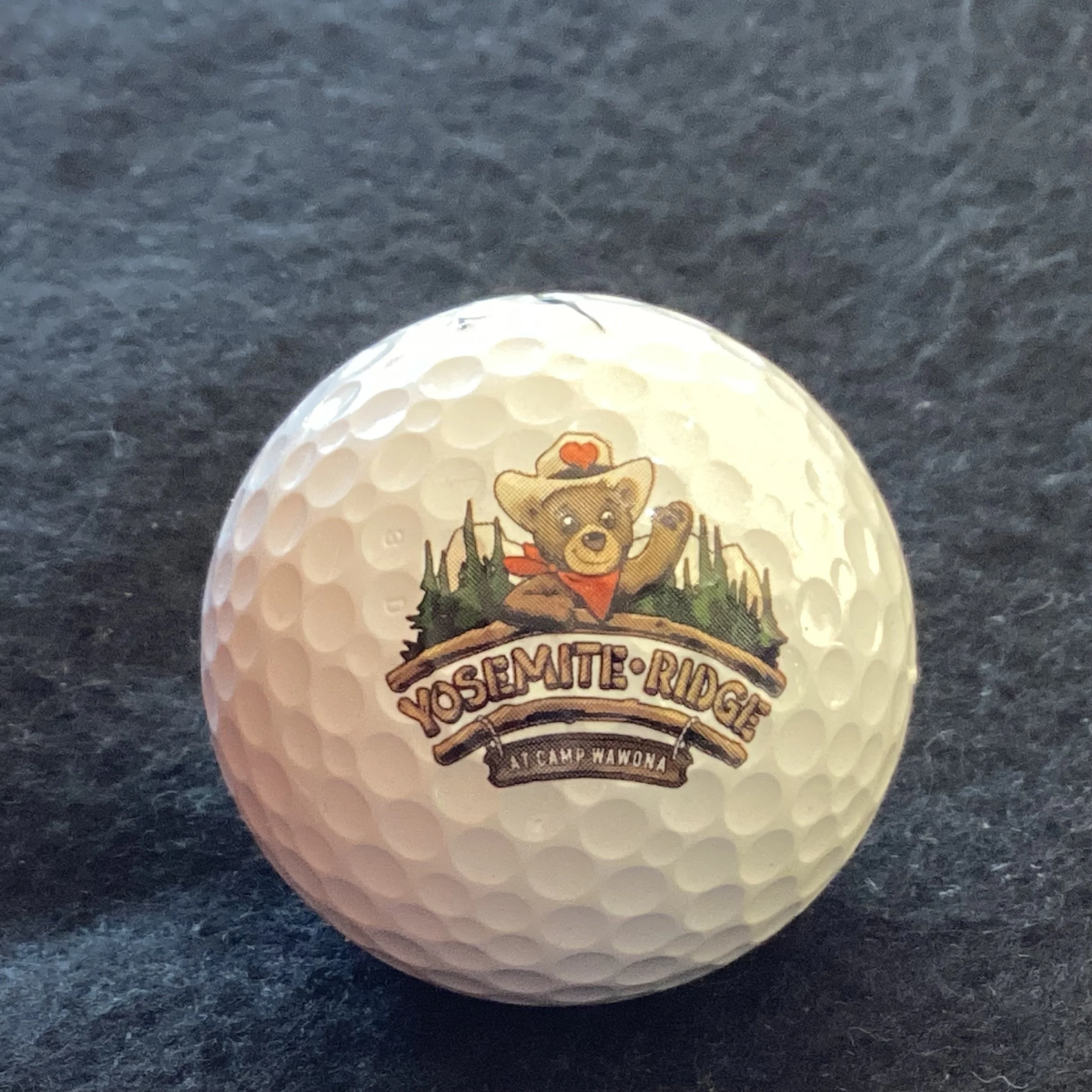 Yosemite Ridge at Camp Wawona