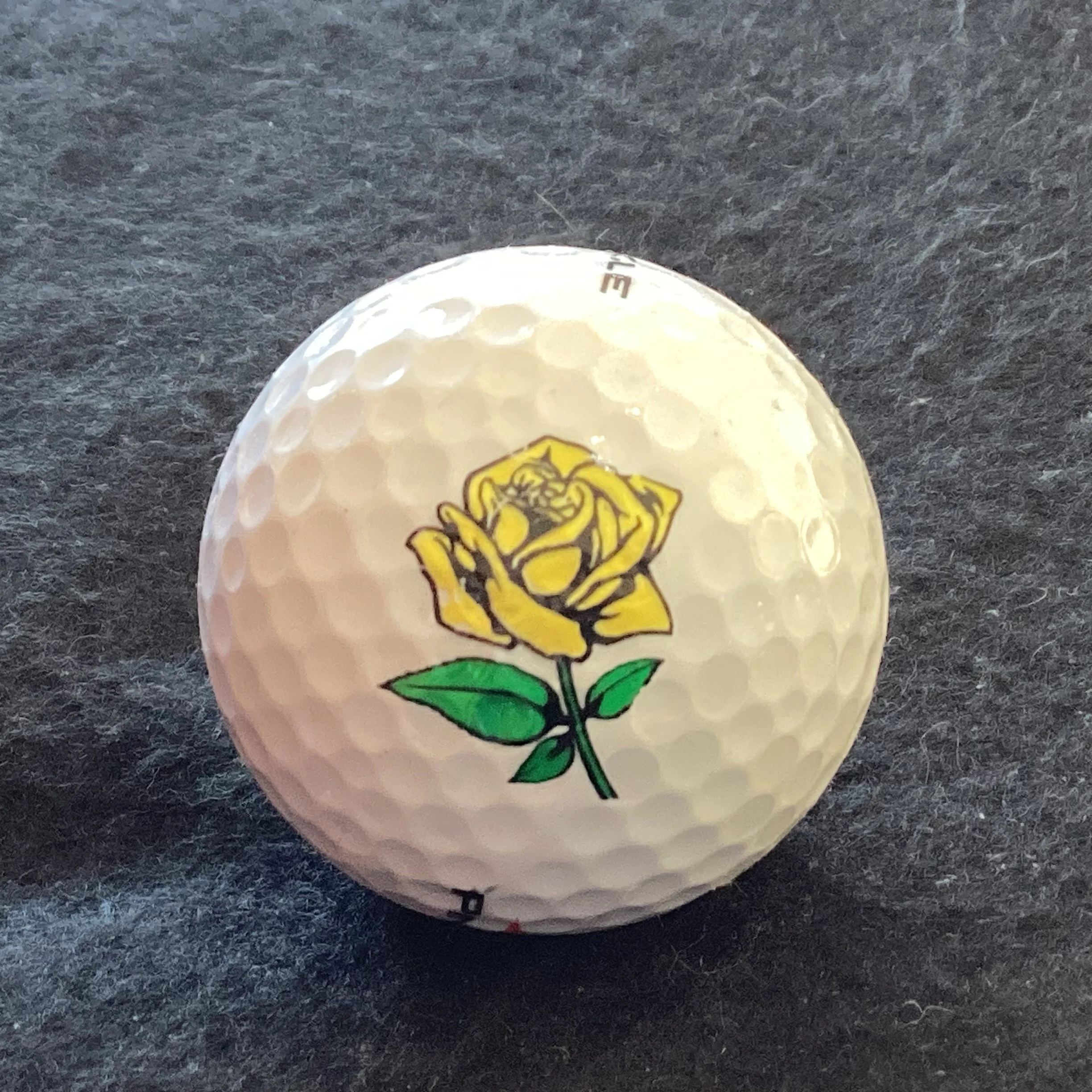 Flower - Yellow Rose 