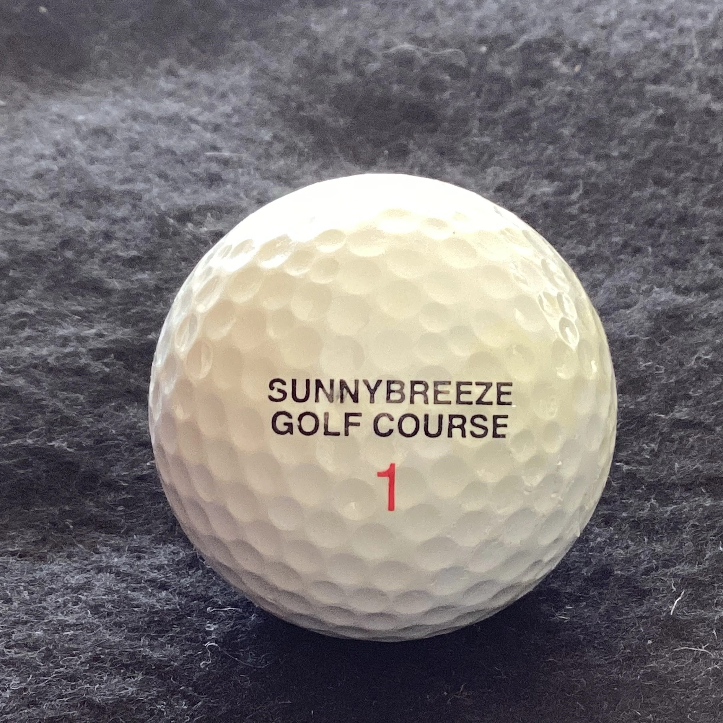 Sunnybreeze Golf Course 