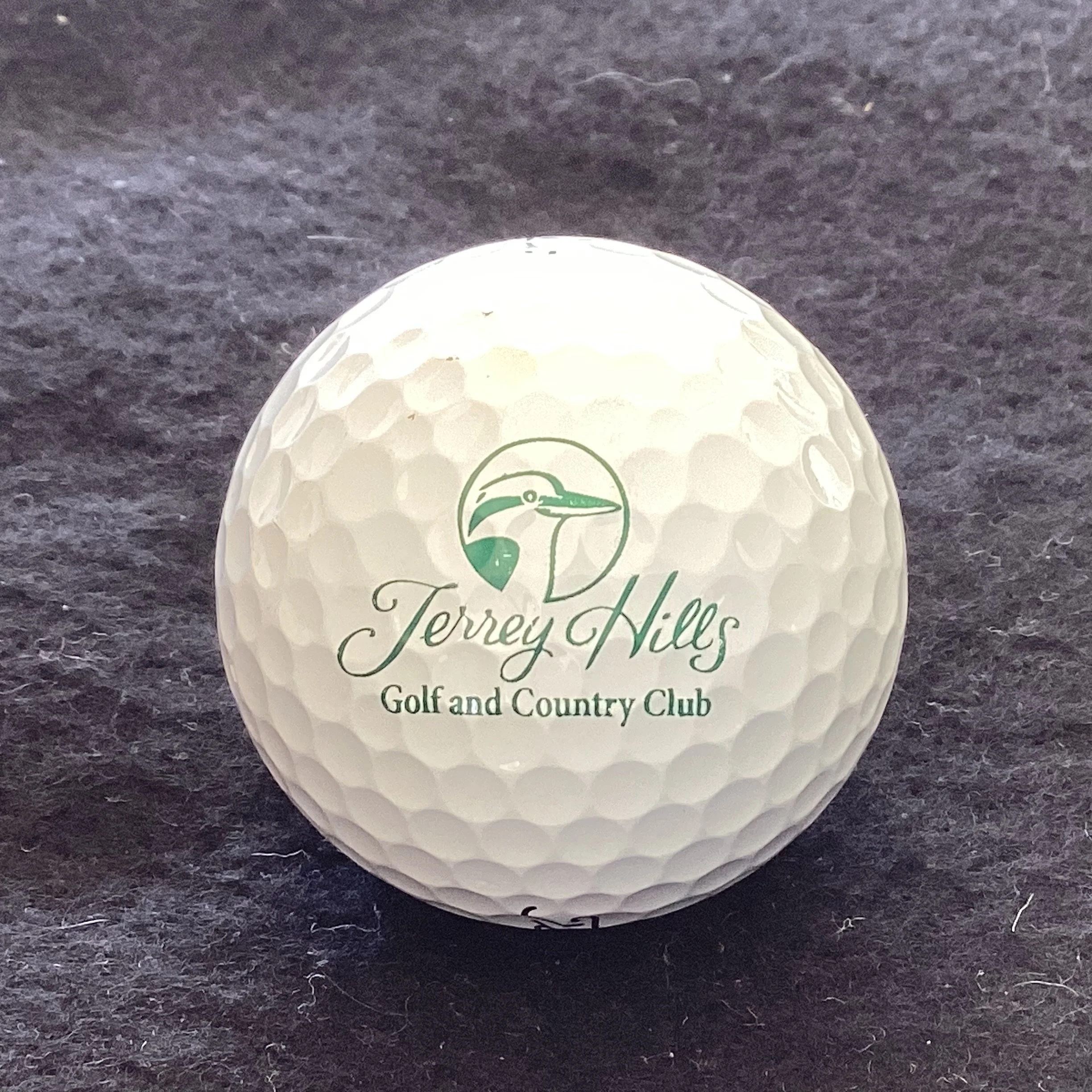 Terrey Hills Golf and Country Club 