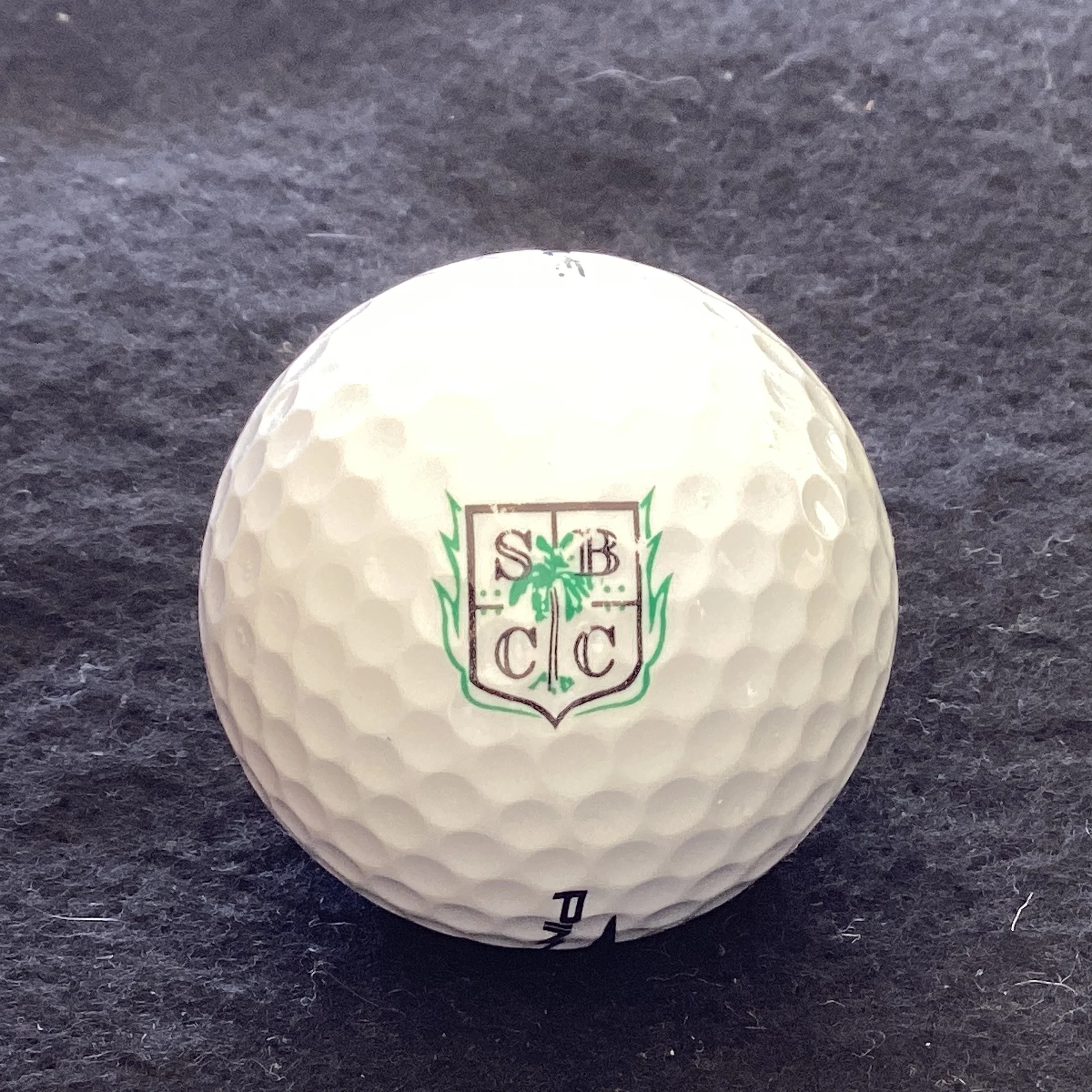 Sara Bay Country Club 