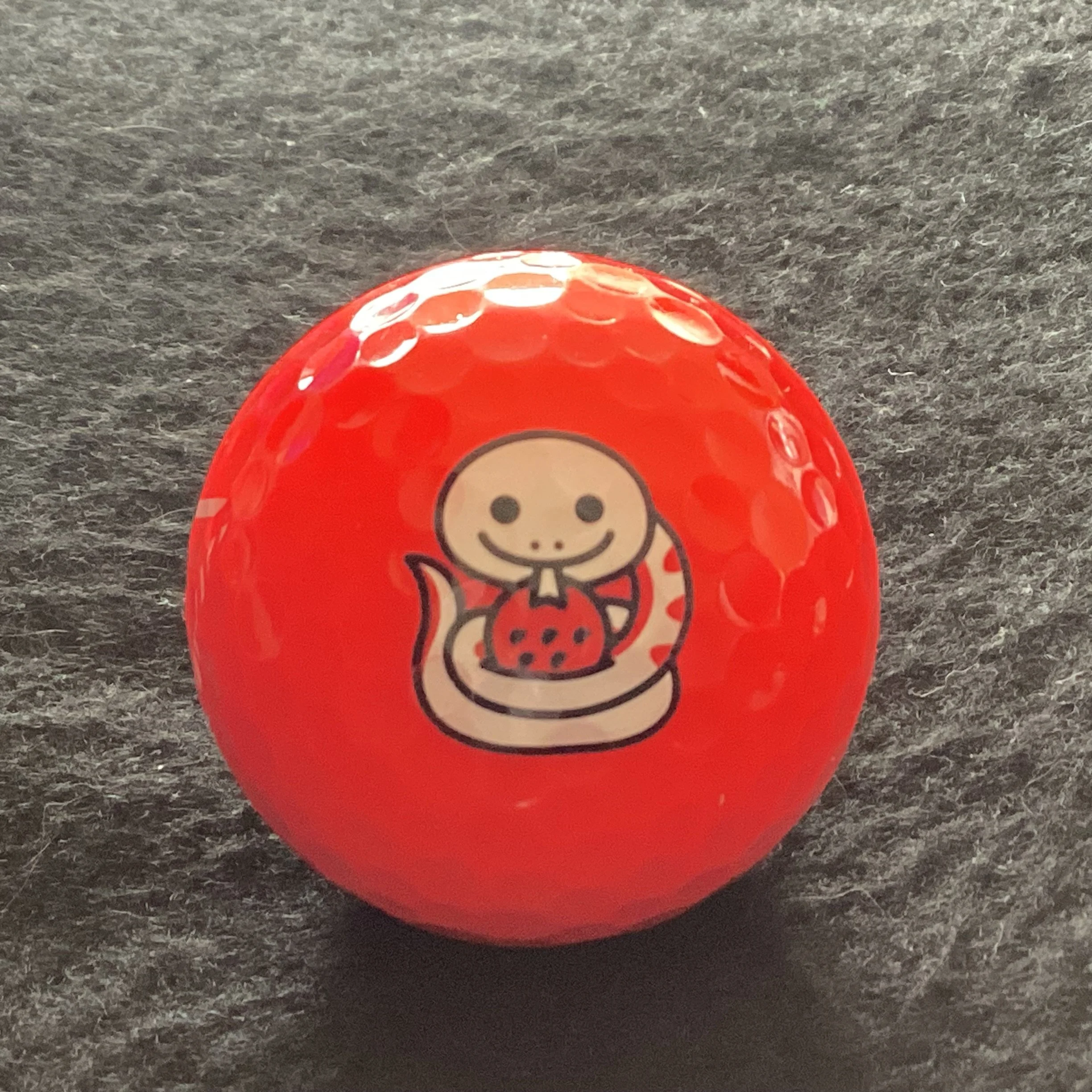 Year of the Wooden Snake - Togunda 2025