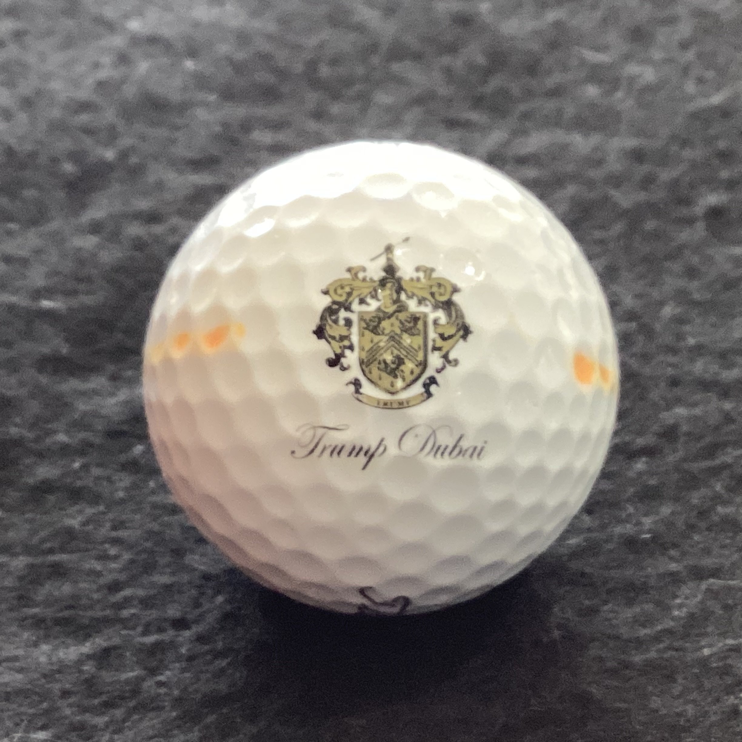 Trump Golf Course- Dubai