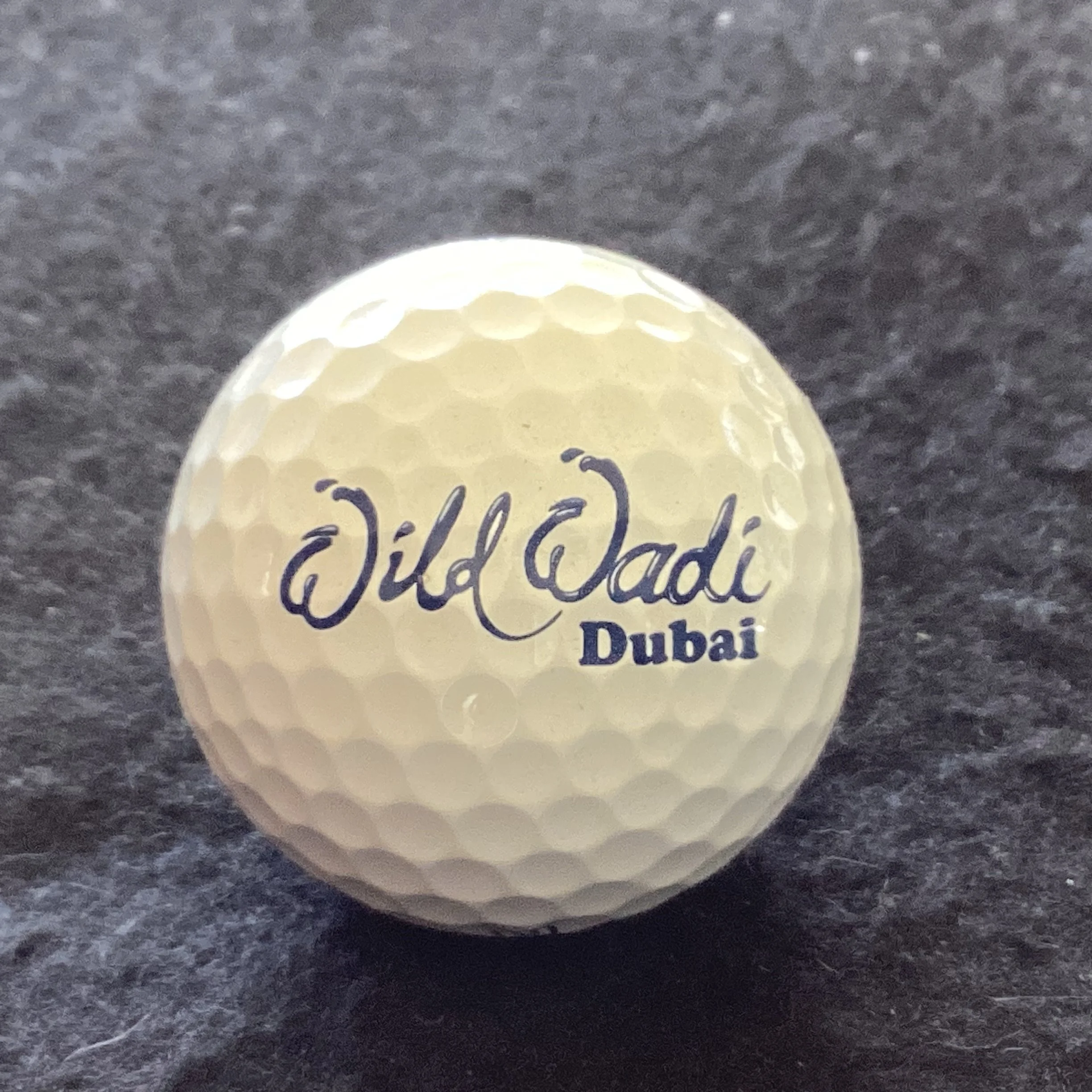 Wild Wadi Water Park