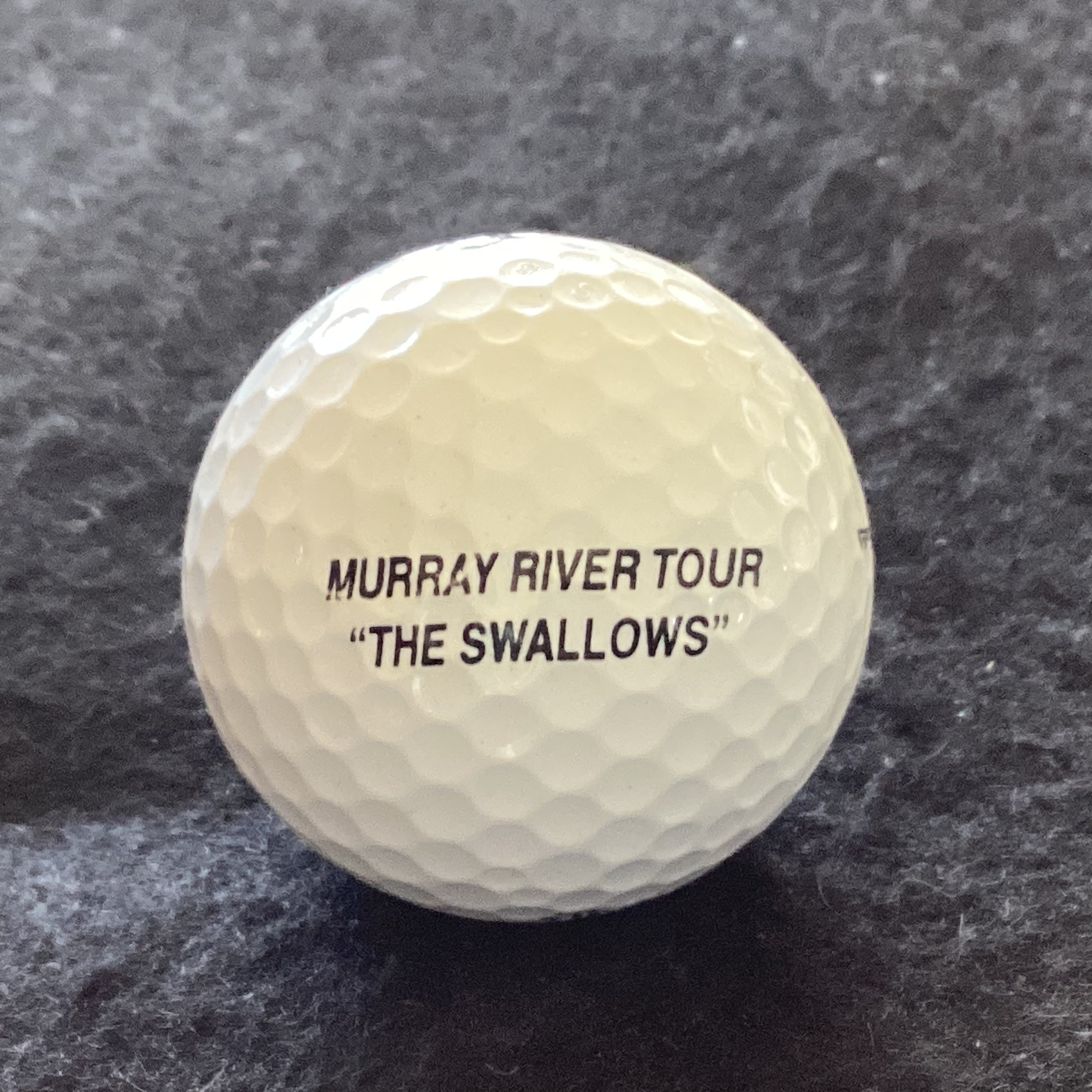 Murray River Tour “The Swallows”