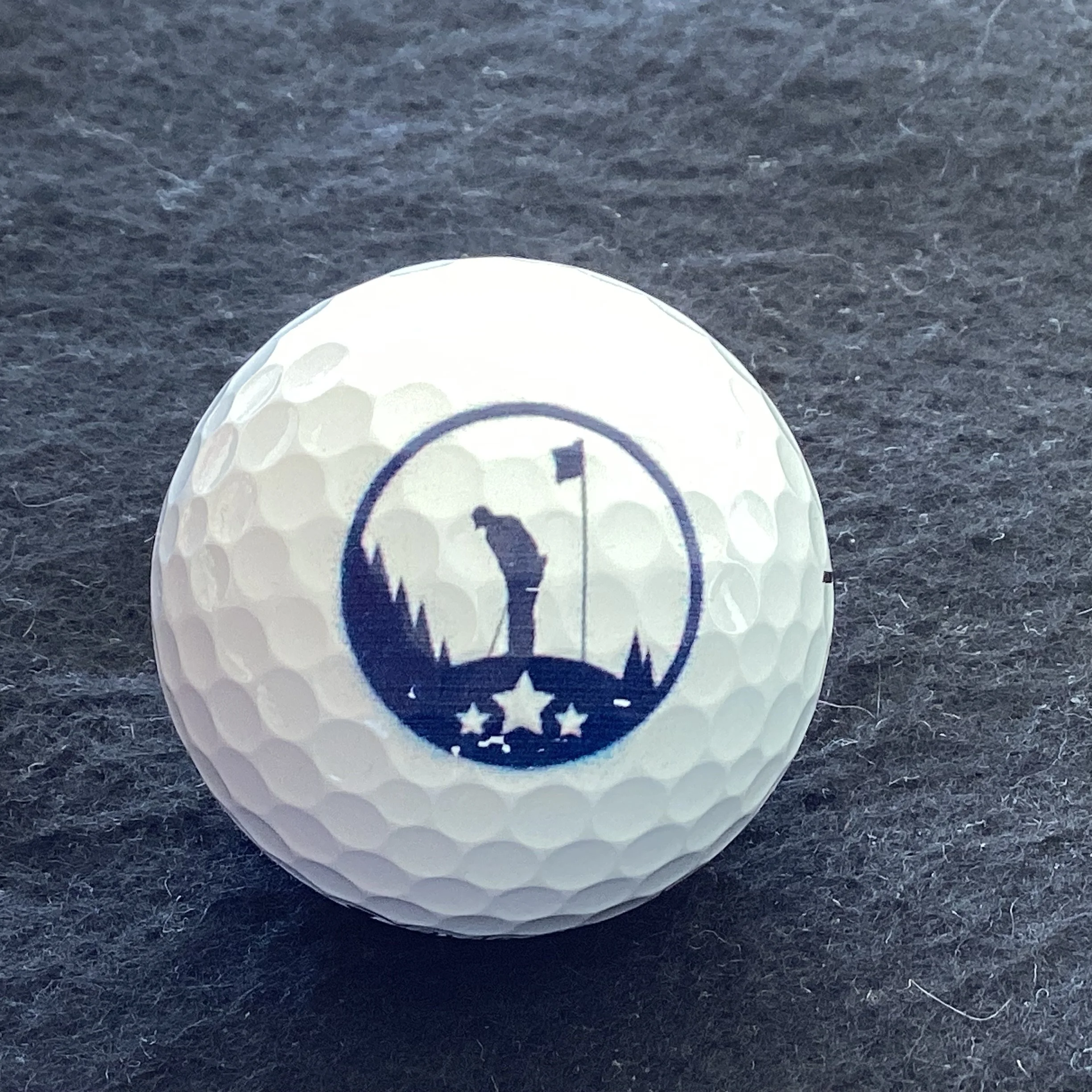 Golf - Master your Swing - Elevate your Game logo