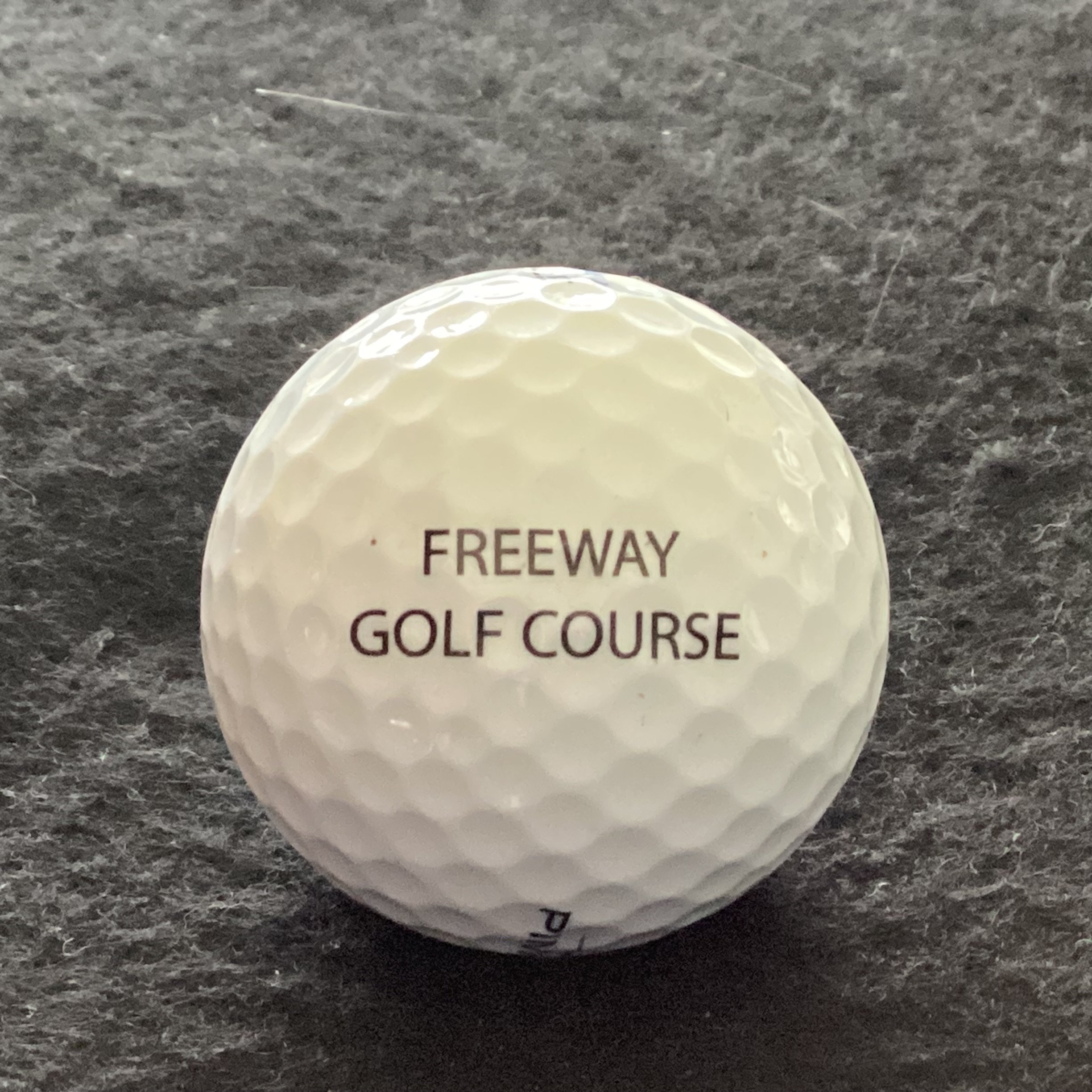 Freeway Golf Course 