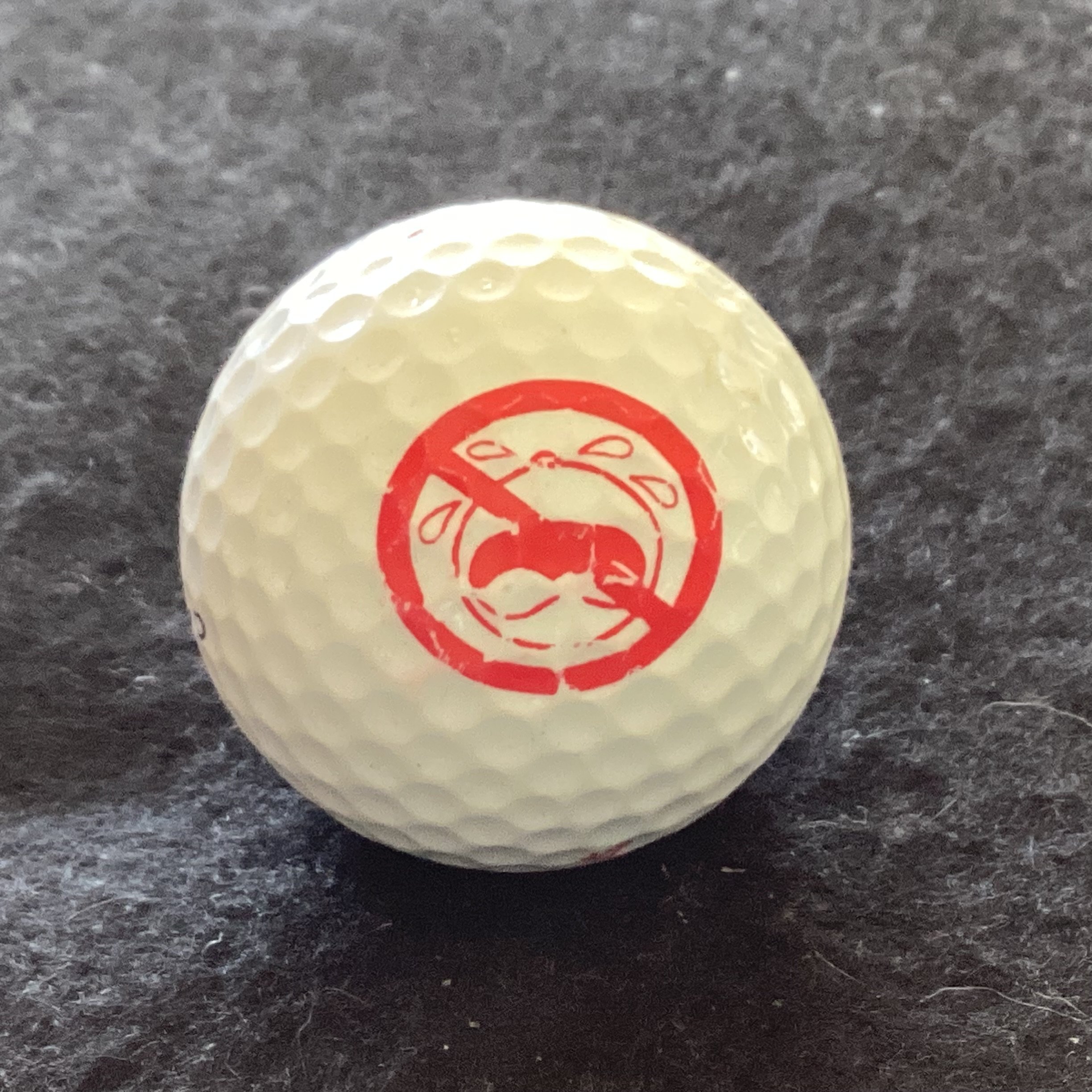 Lynch’s Restaurant  - No Children Allowed 