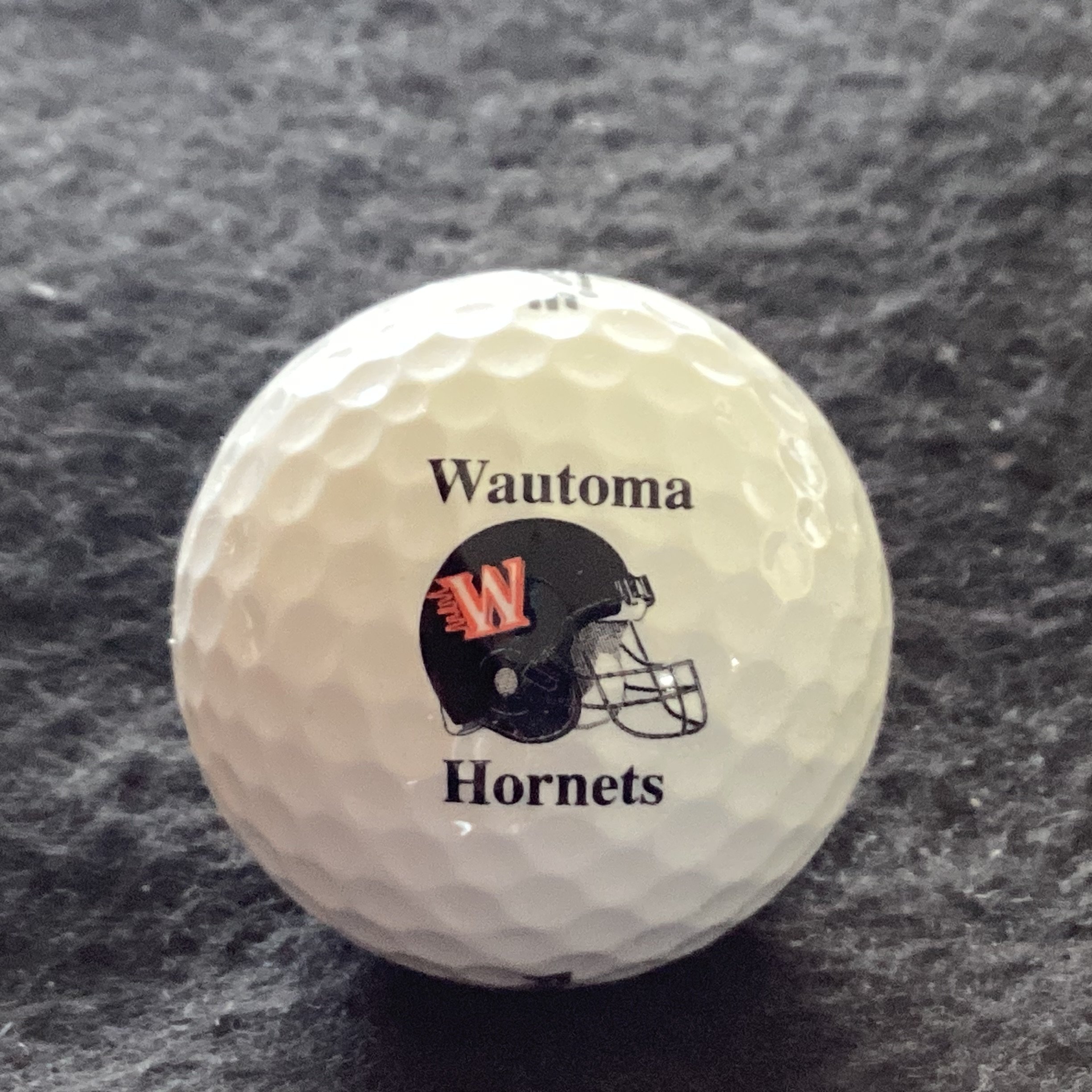 Wautoma High Hornets