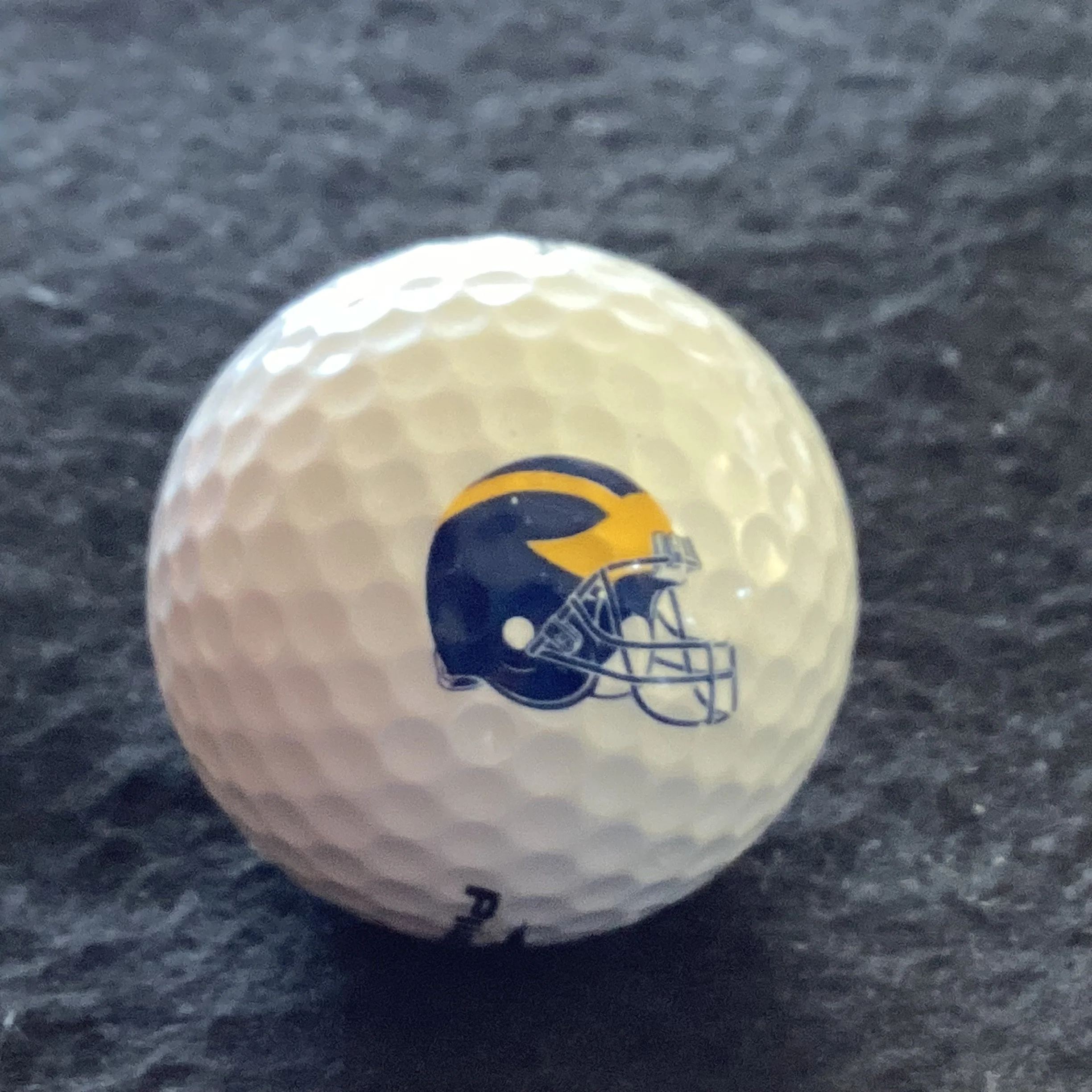 University of Michigan Wolverines