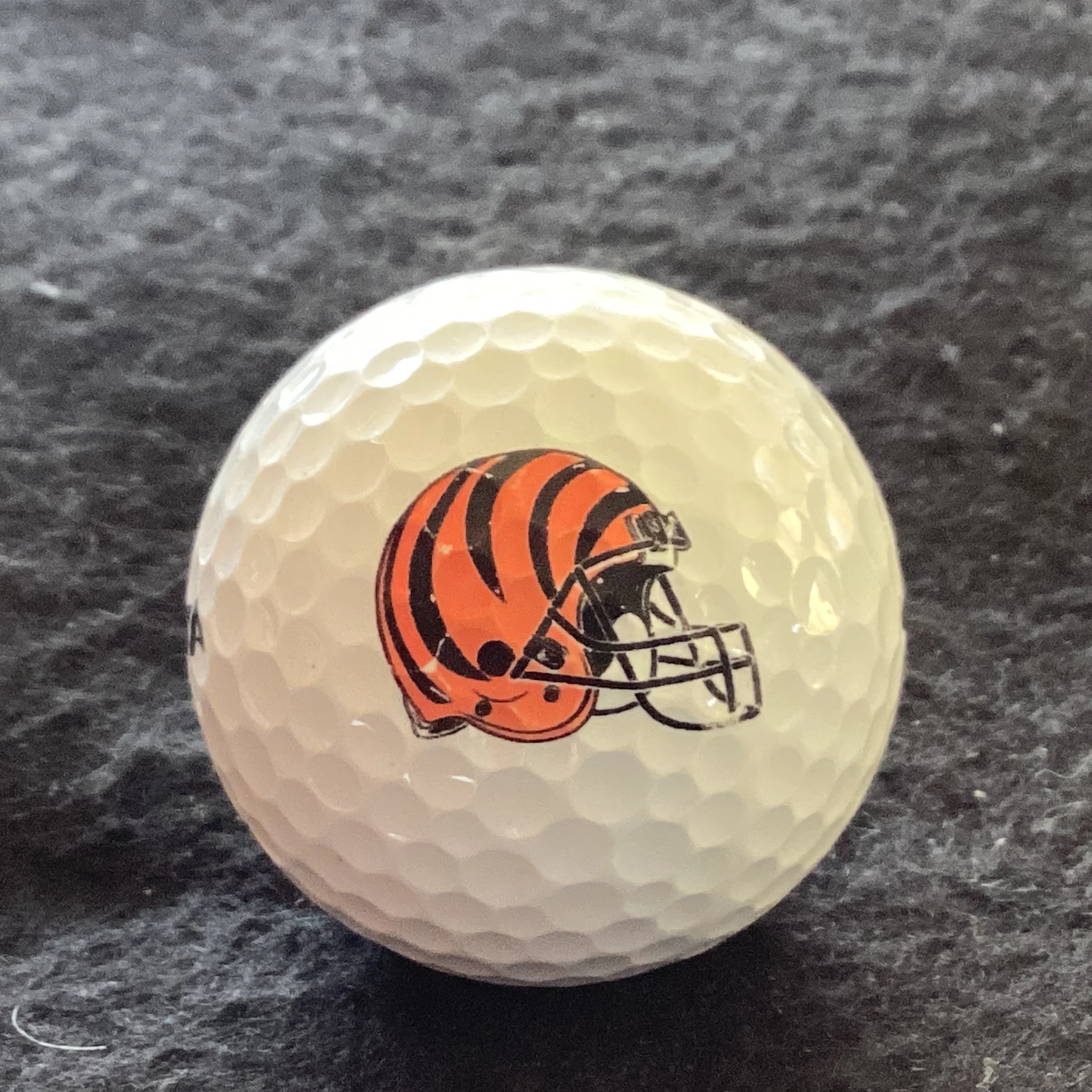 Cincinnati Bengals 