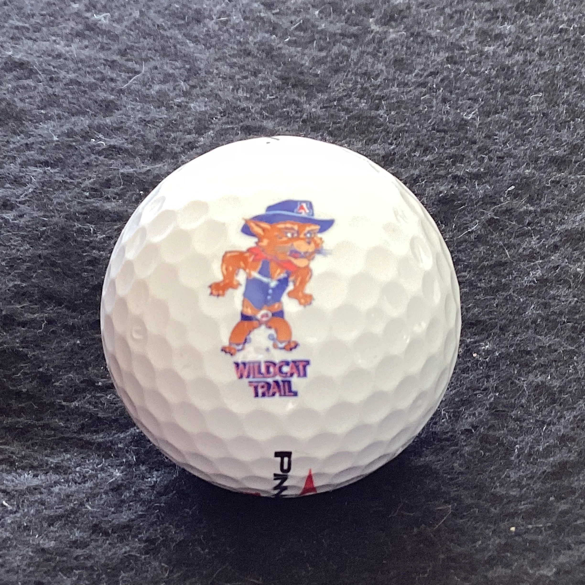 Wildcat Trail - University of Arizona Golf Course 