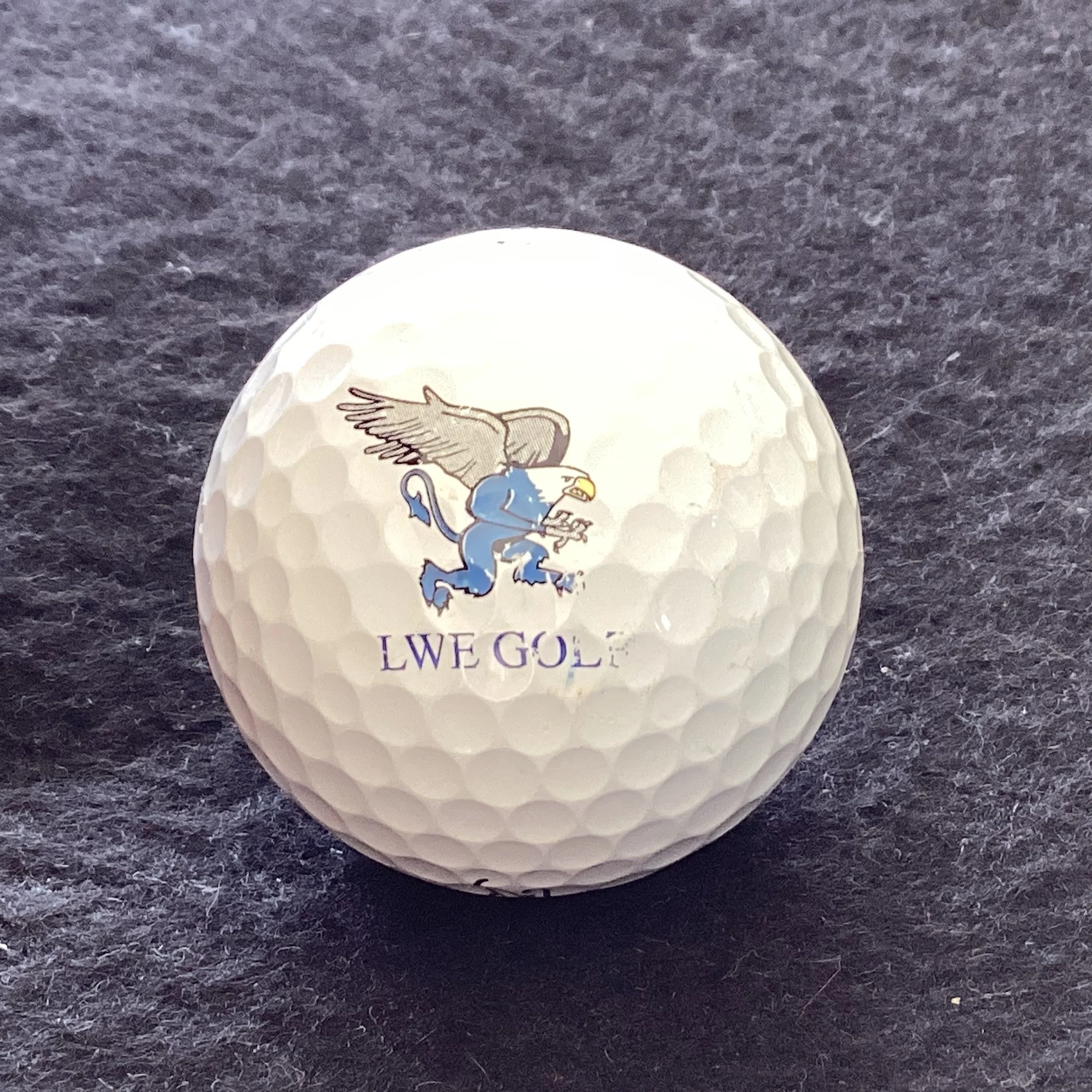 Lincoln Way East College Golf Team 