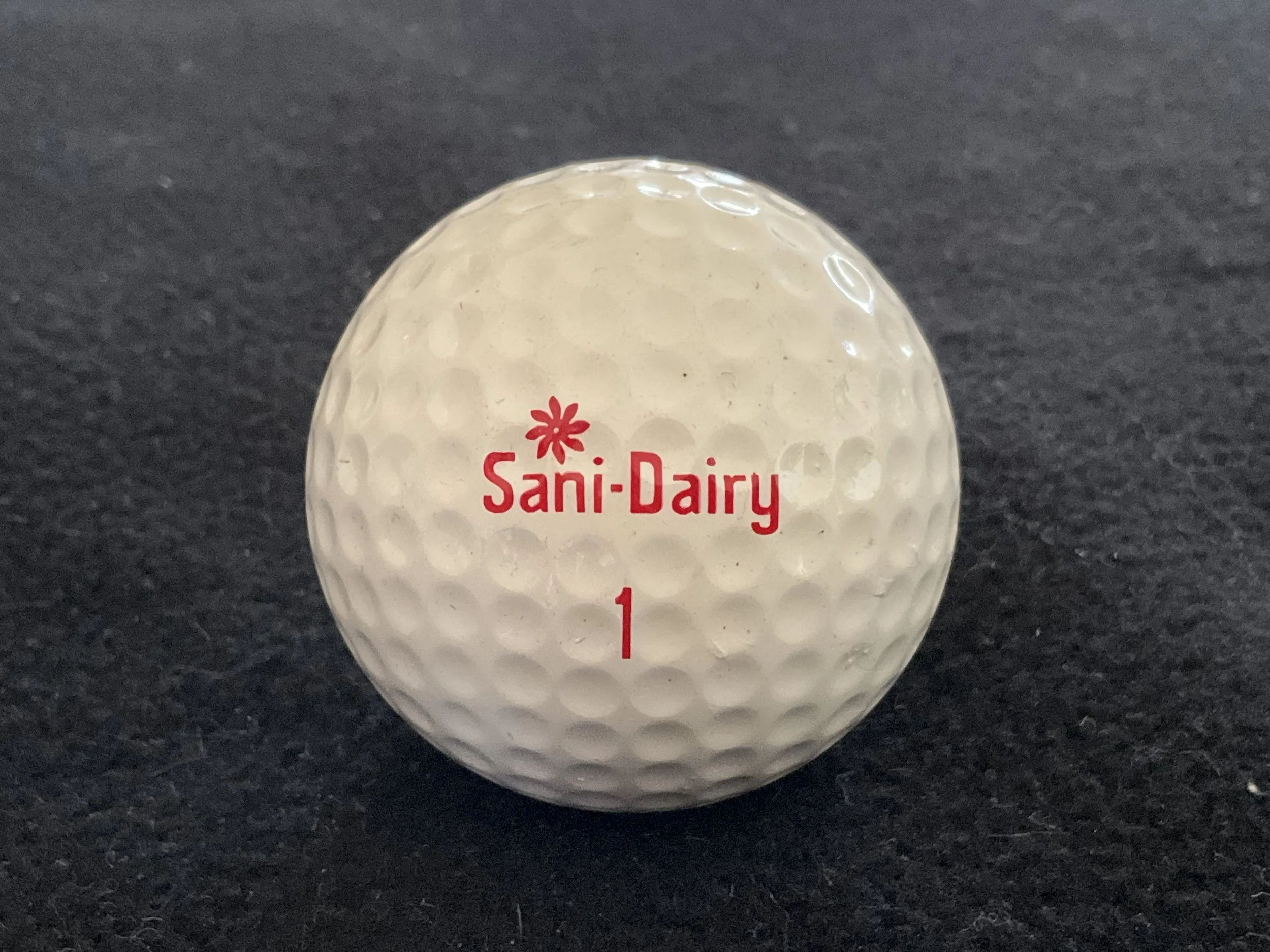 Sani-Dairy