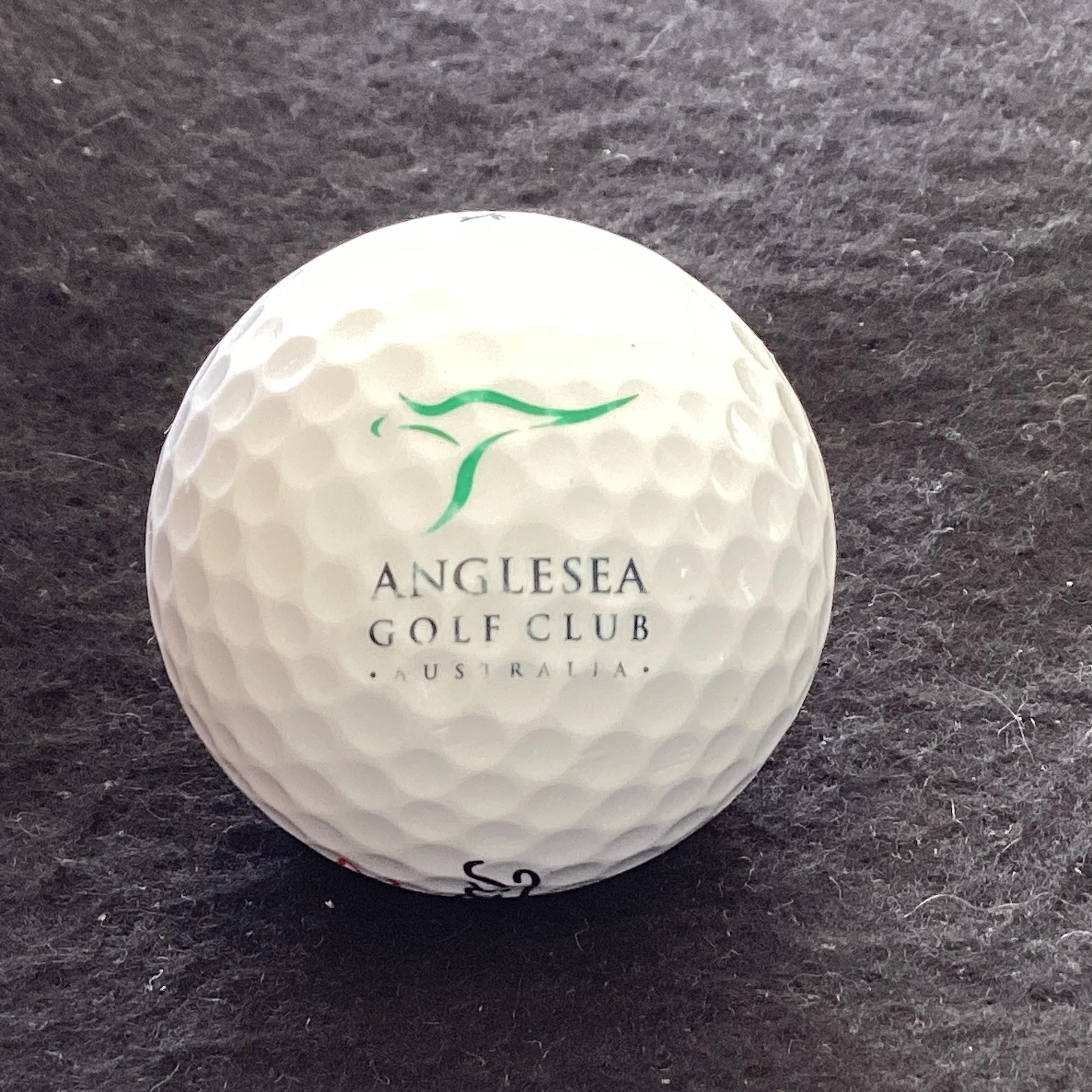 Anglesea Golf Club 