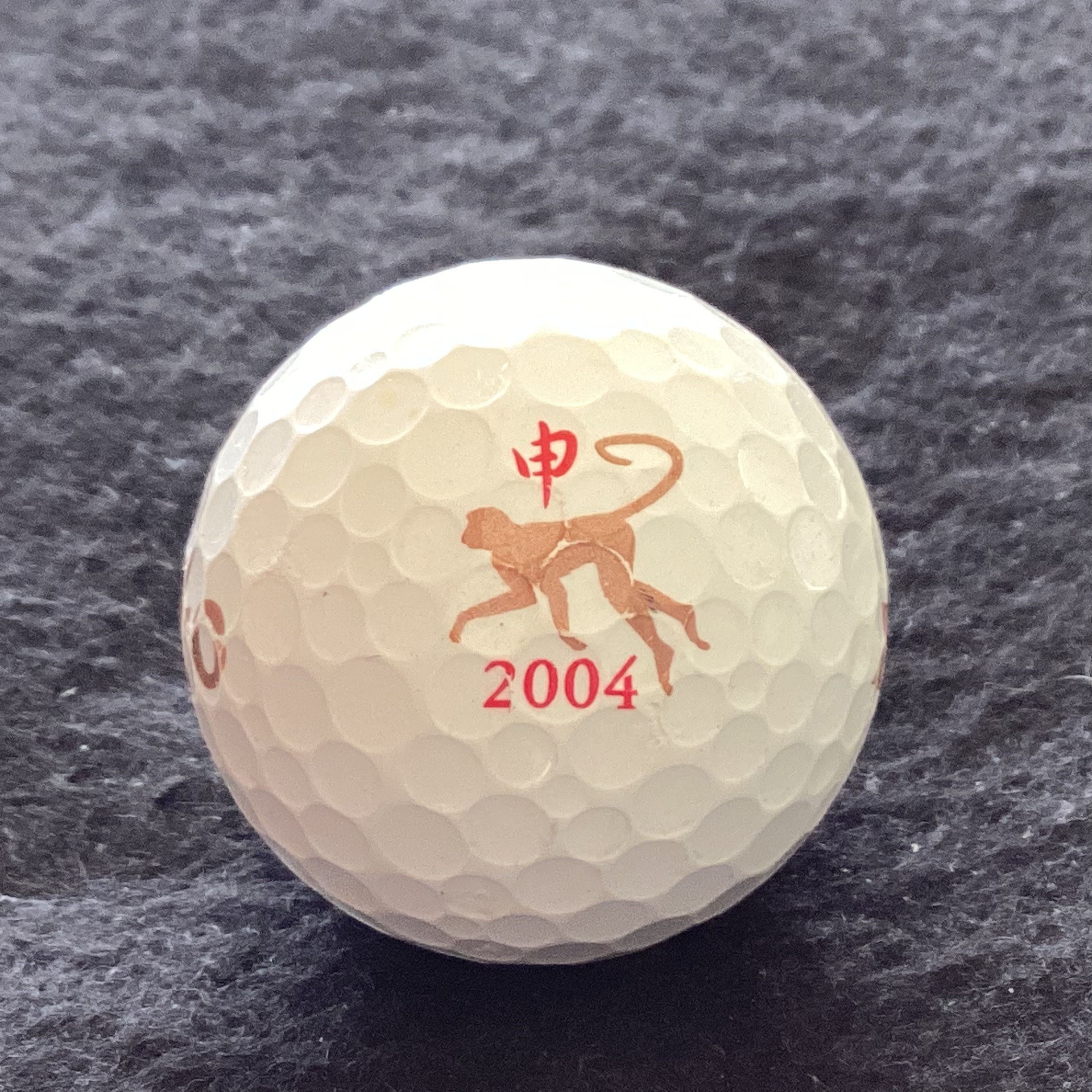 Year of the Monkey 2004