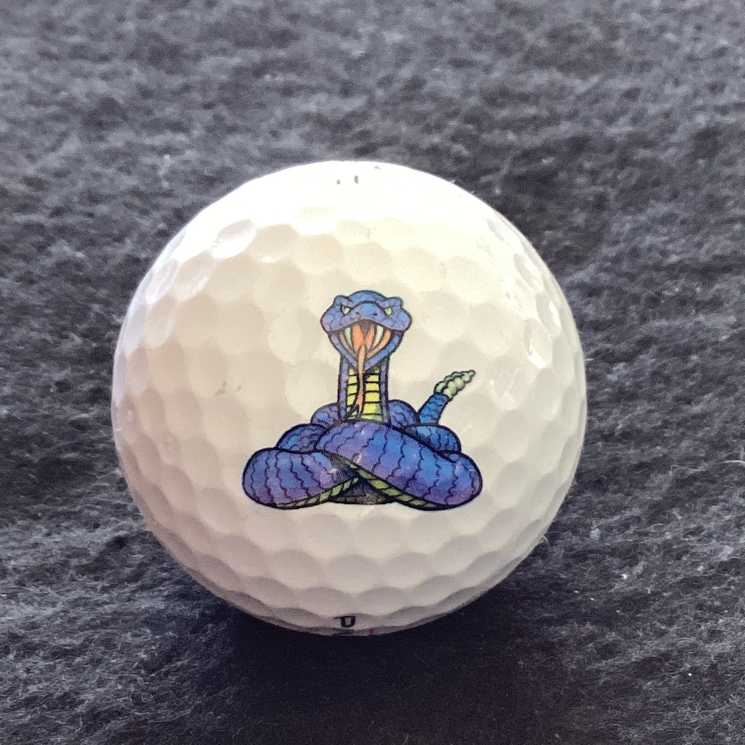 Animal - Snake - Free clip art