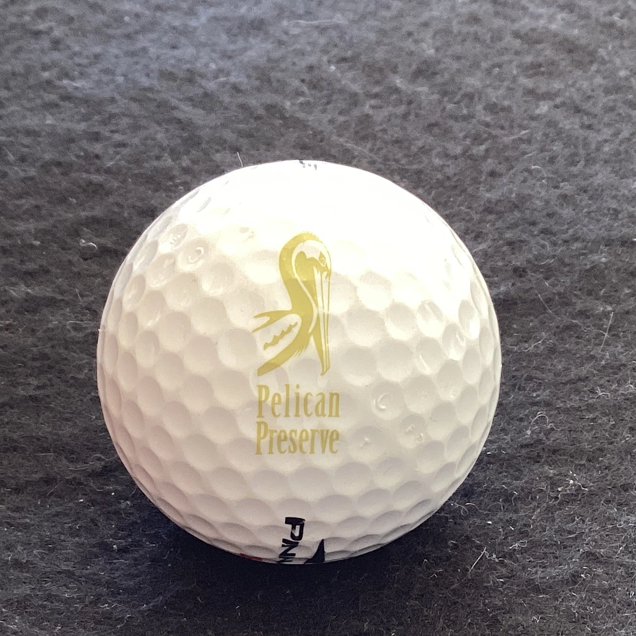 Pelican Preserve - The Club at Pelican Preserve