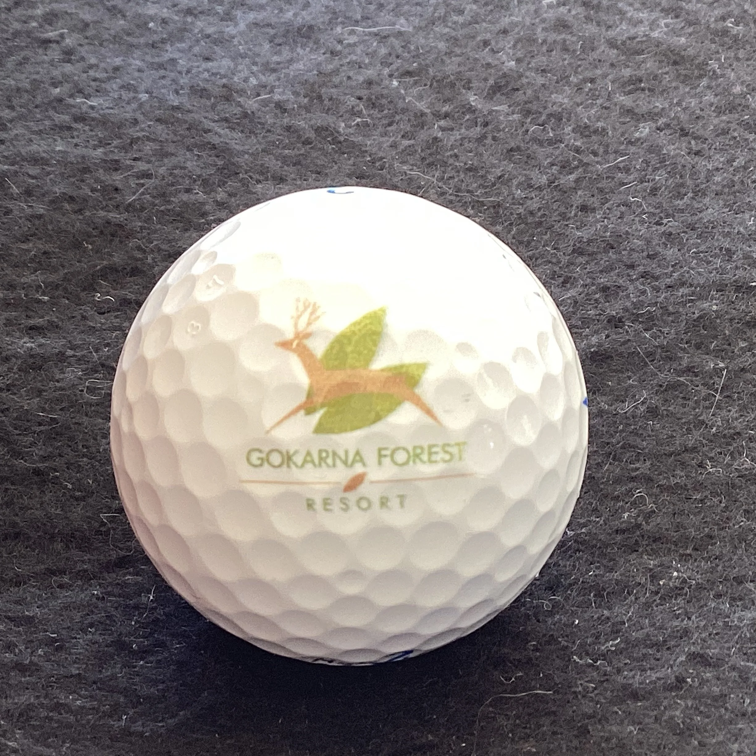 Gokarna Forest Resort