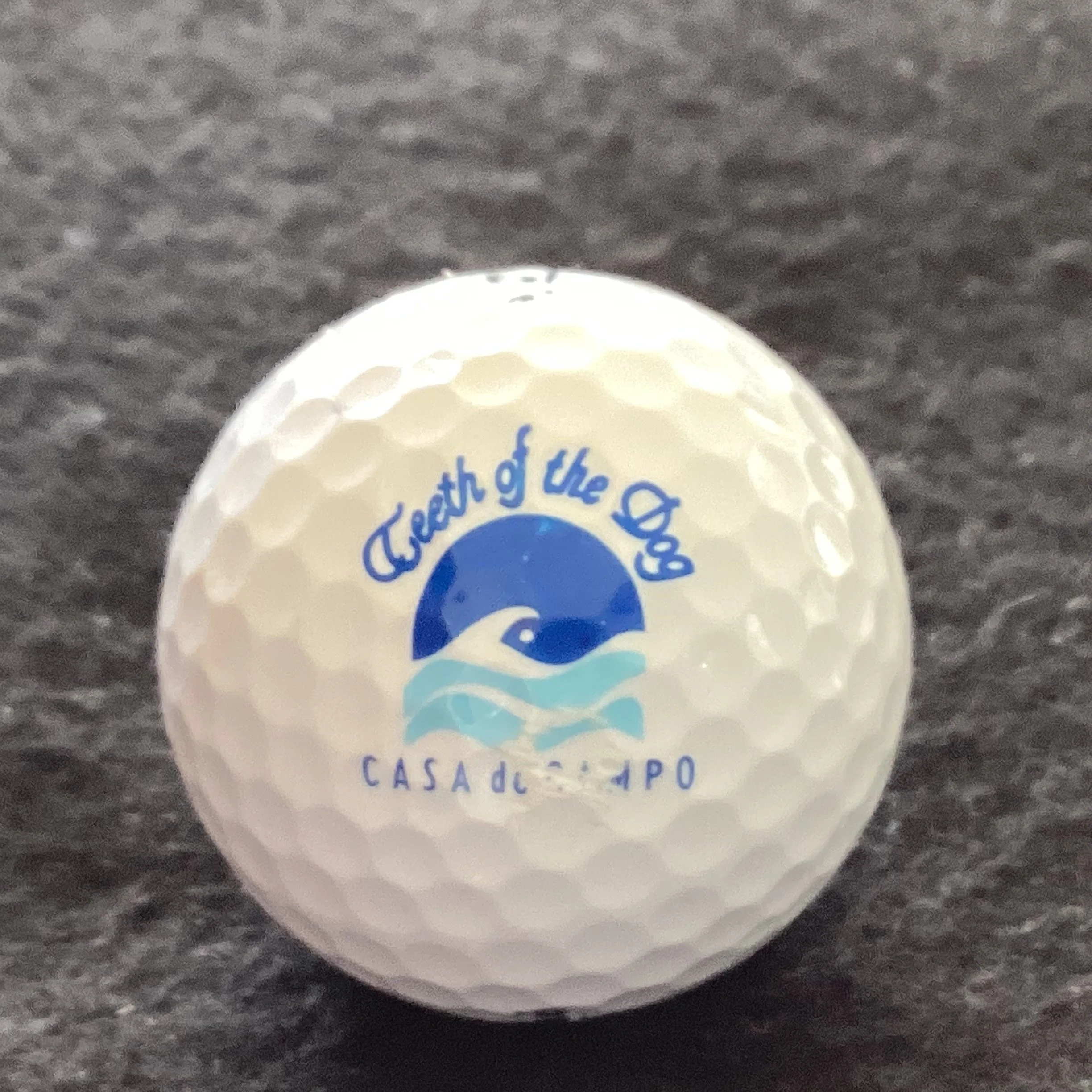 Casa de Campo Golf Course - Teeth of the Dog