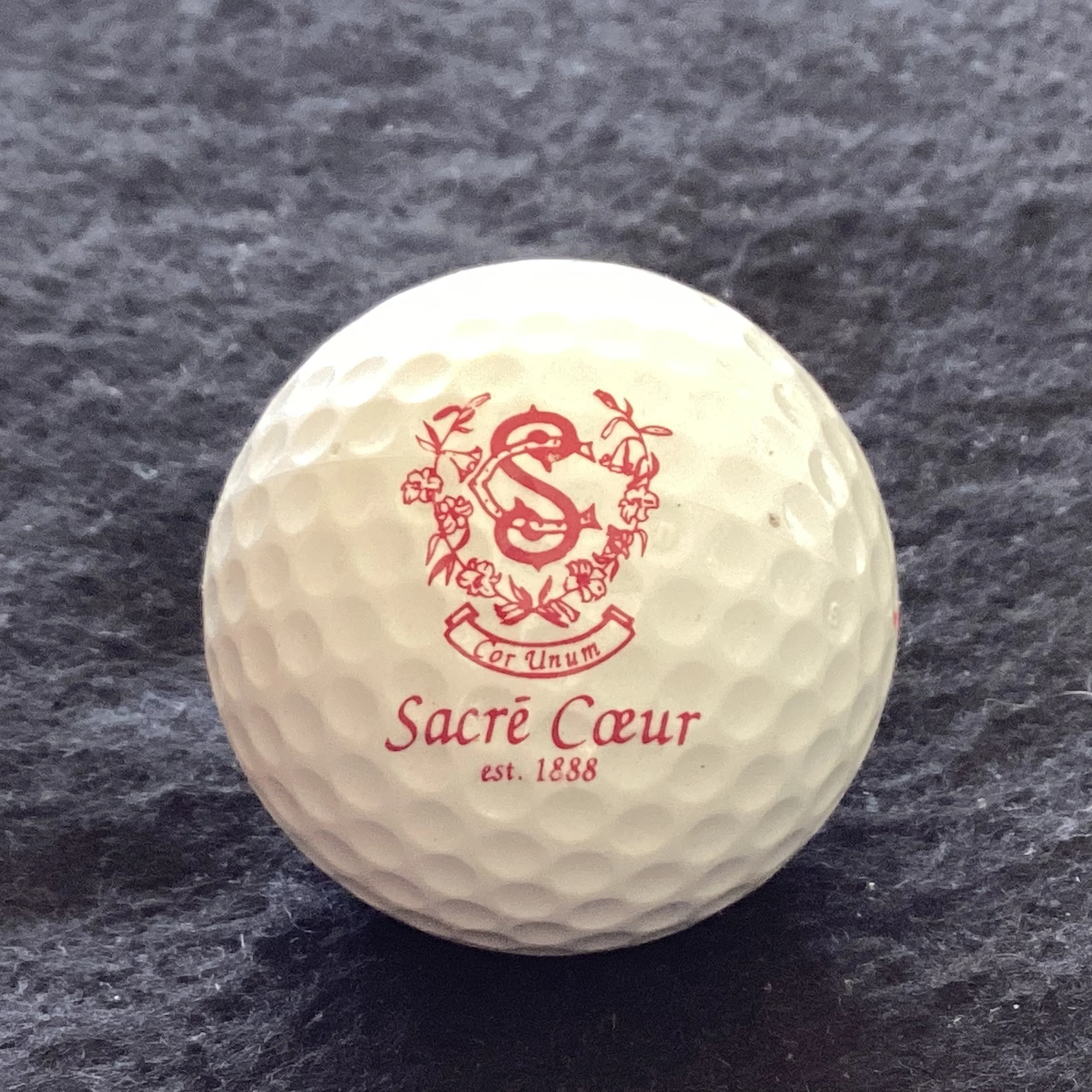 Sacre Coeur  - Church Basilica