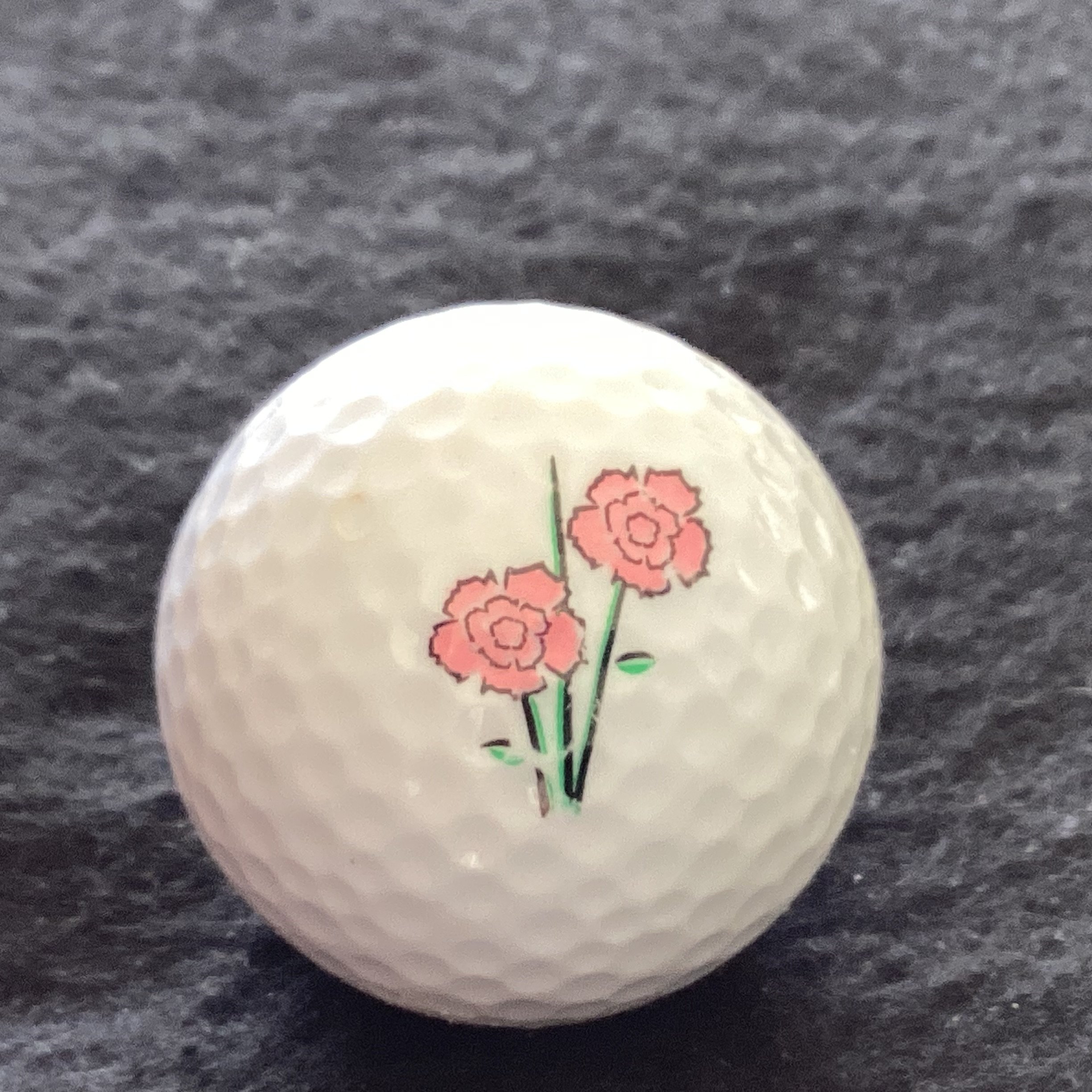 Flowers - Carnations