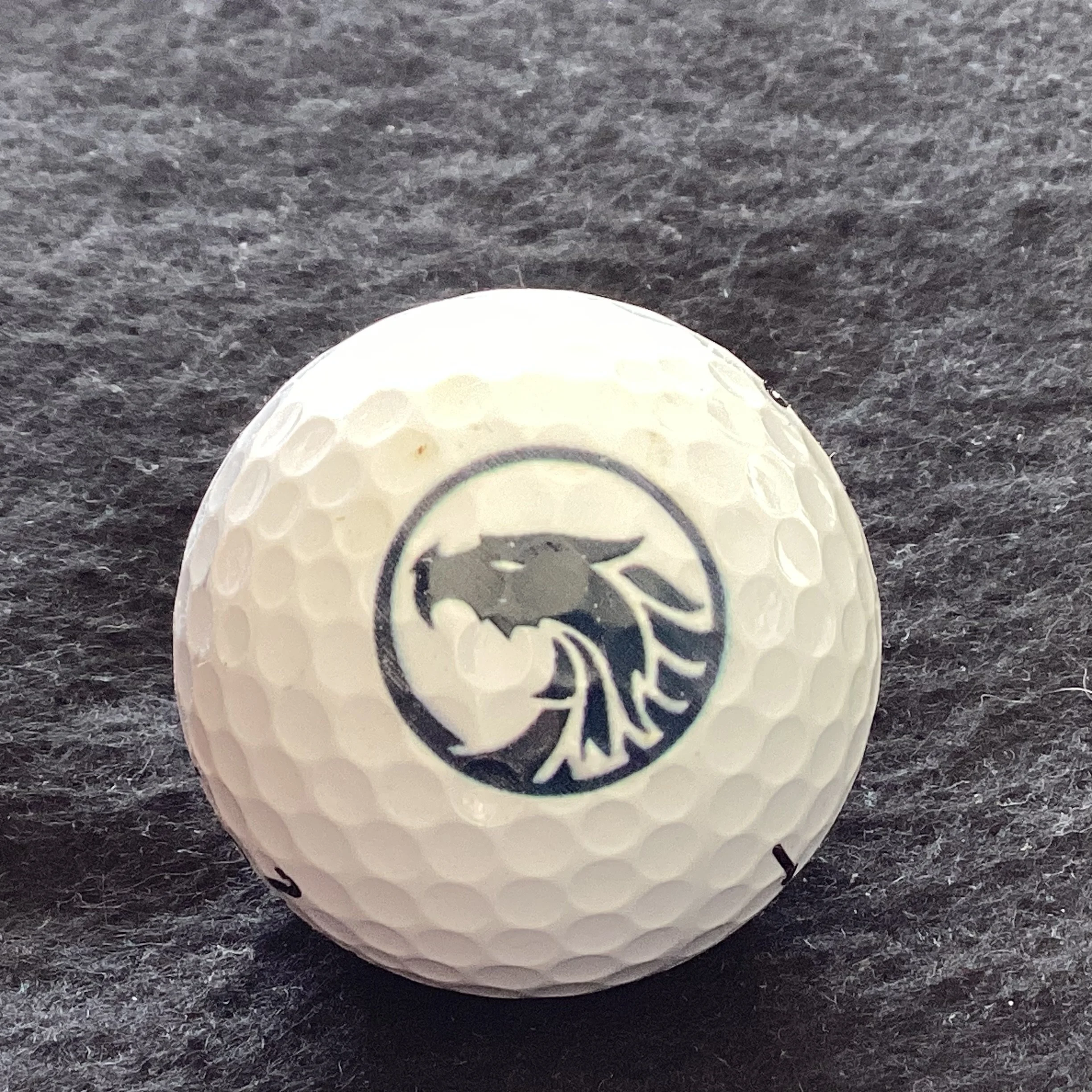 Queens University of Charlotte Logo