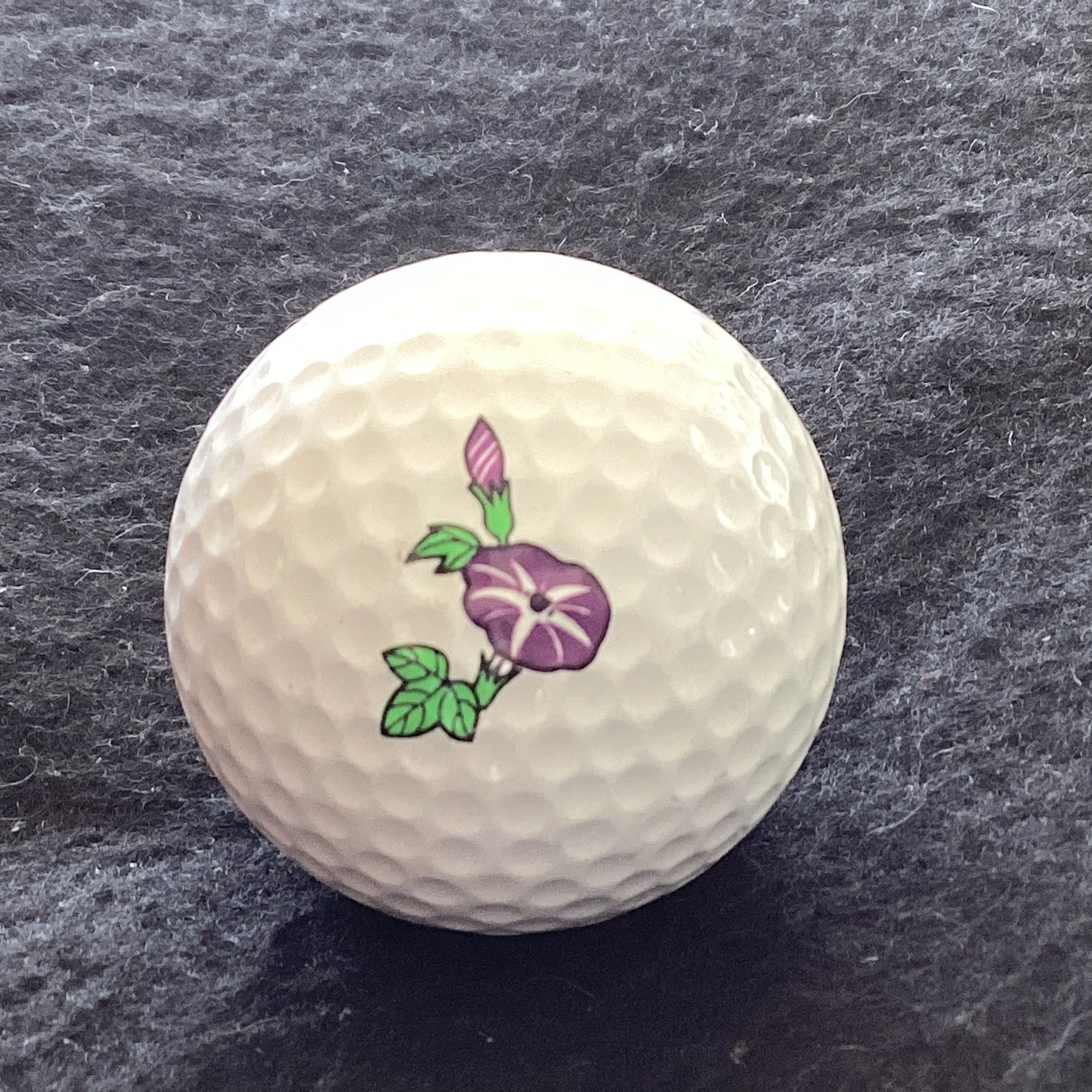 Sense Balls Fruit Vegetable Animal Series - Morning Glory