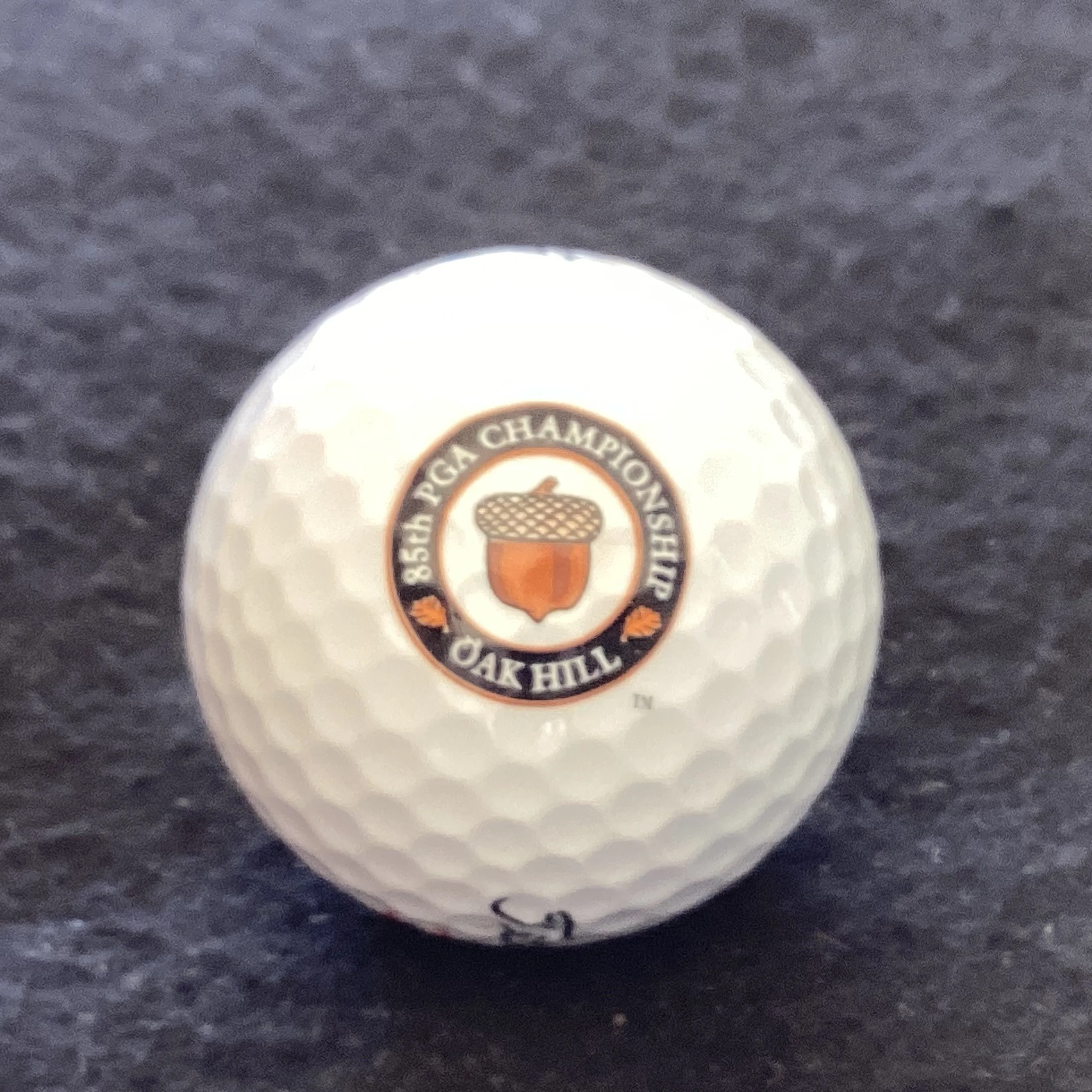 US PGA 2004 - Oak Hill