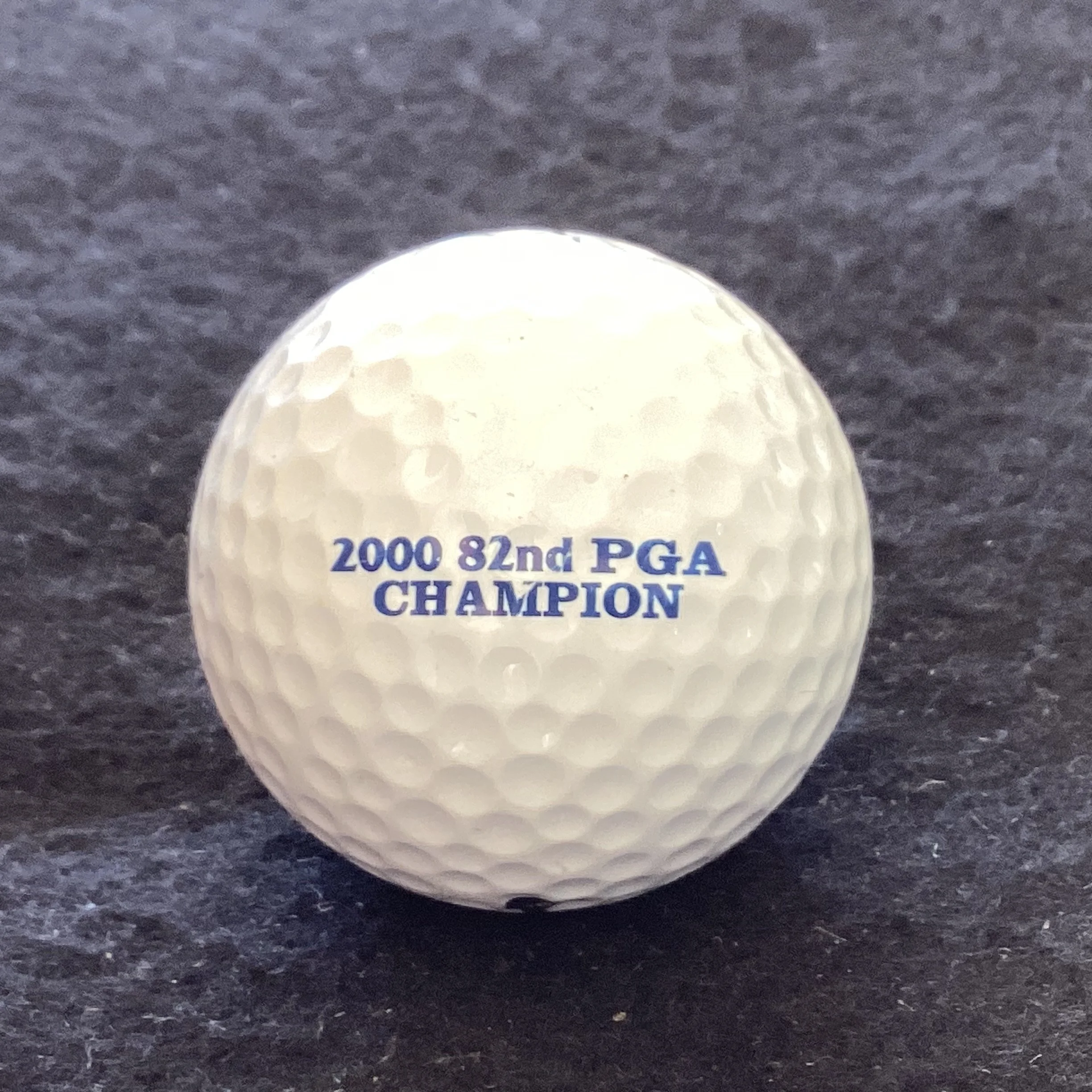 US PGA 2000 - Champions Tiger