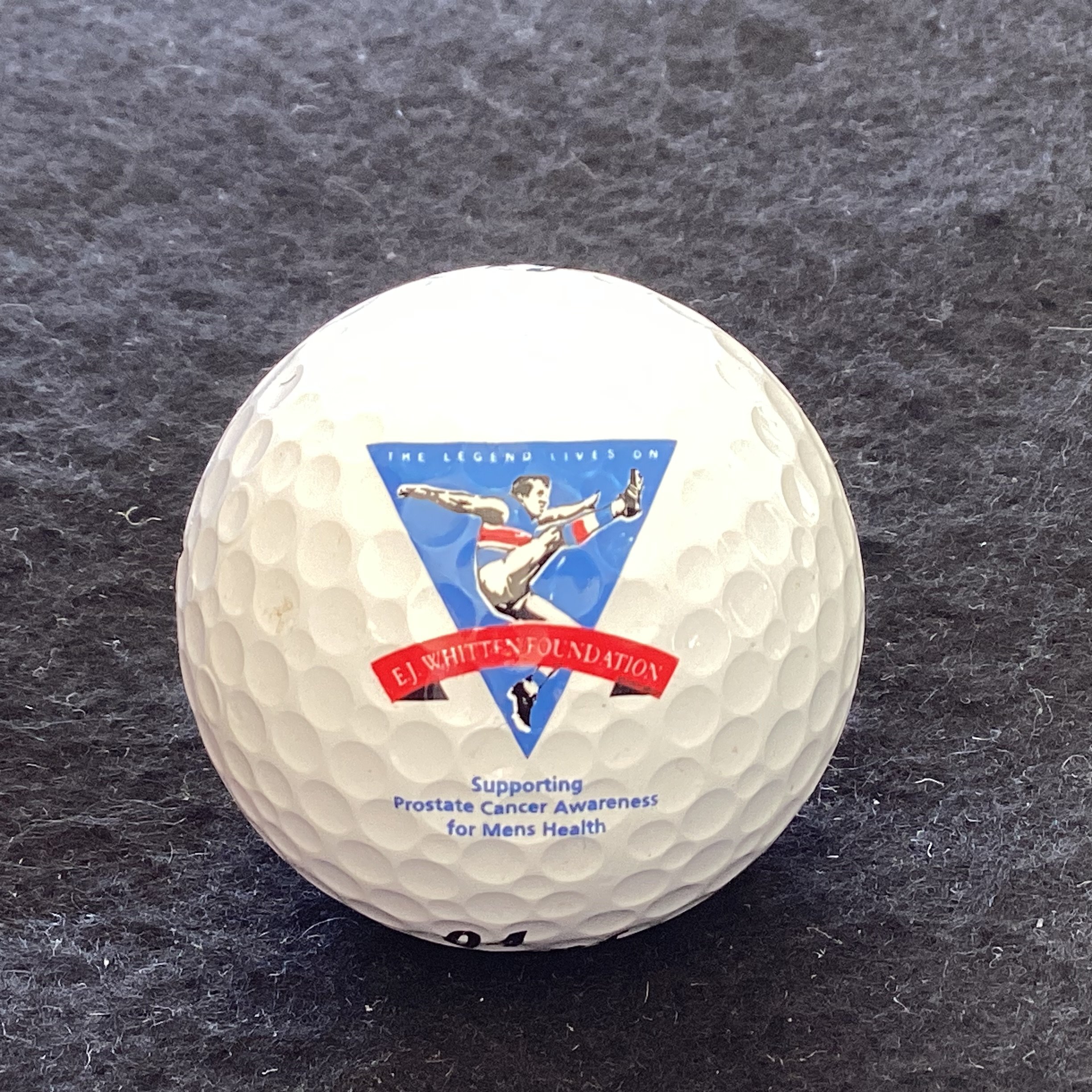 E J Whitten Foundation 