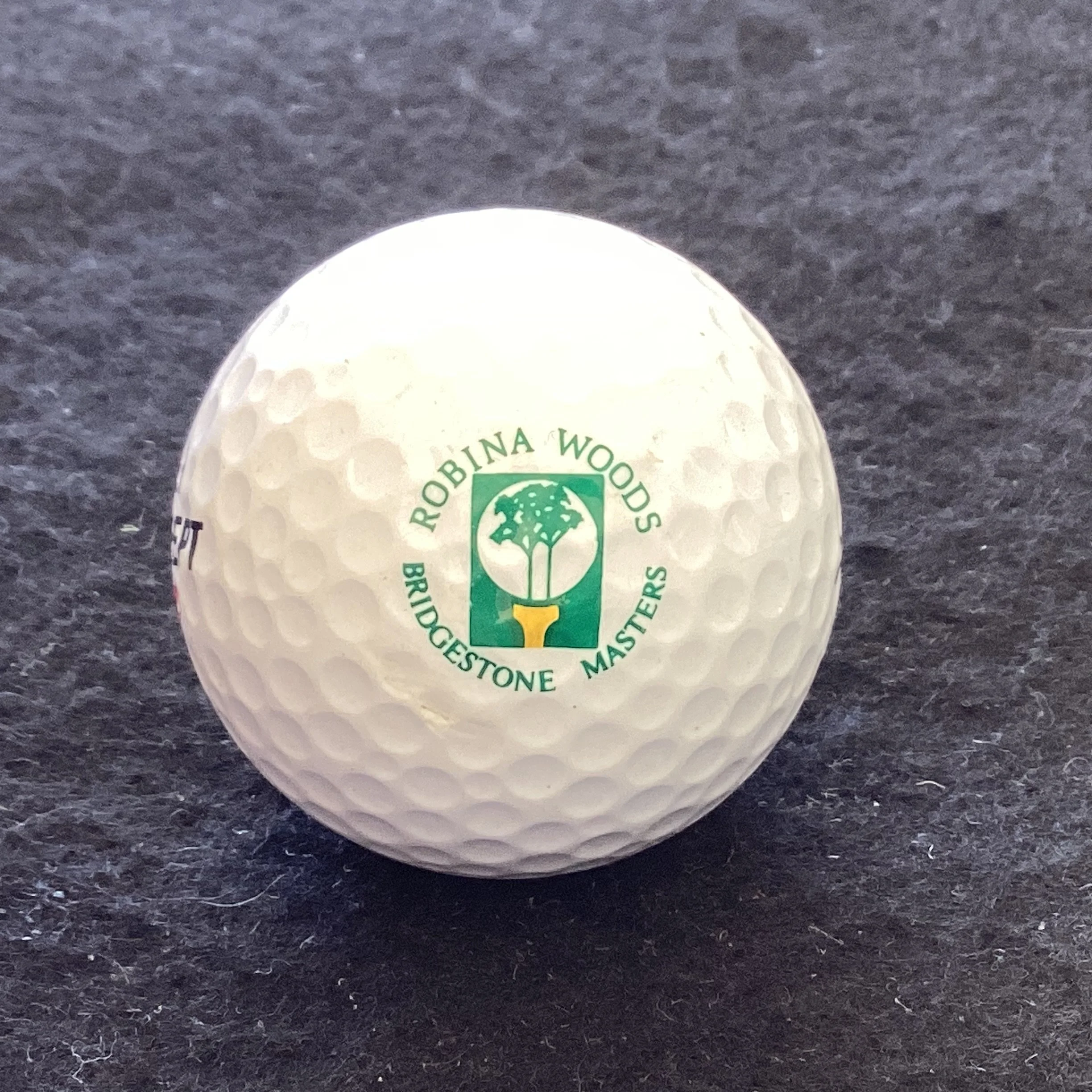 Australian Masters - Bridgestone Australian Masters Robina Woods