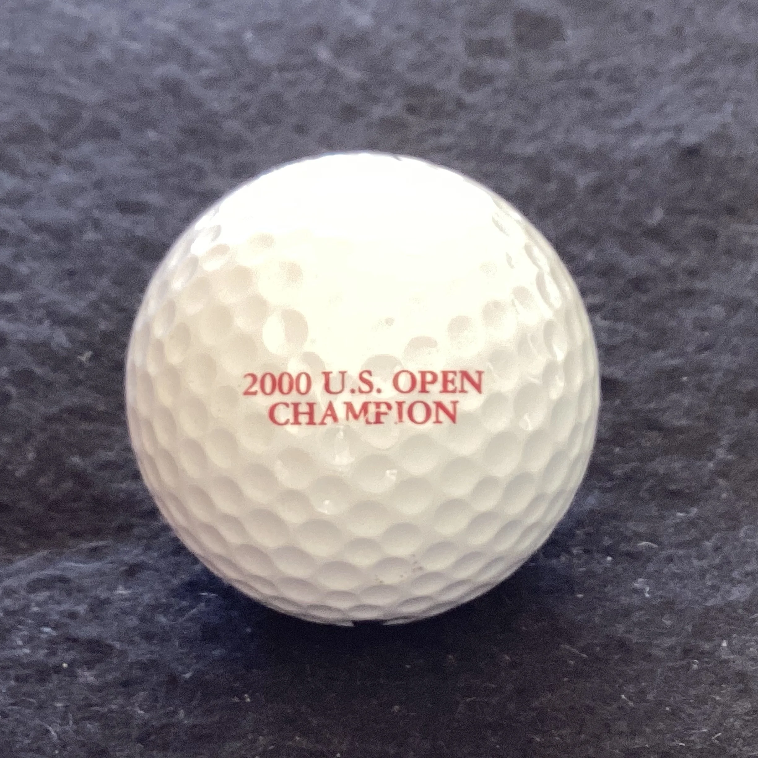 US Open 2000 - Champion Tiger