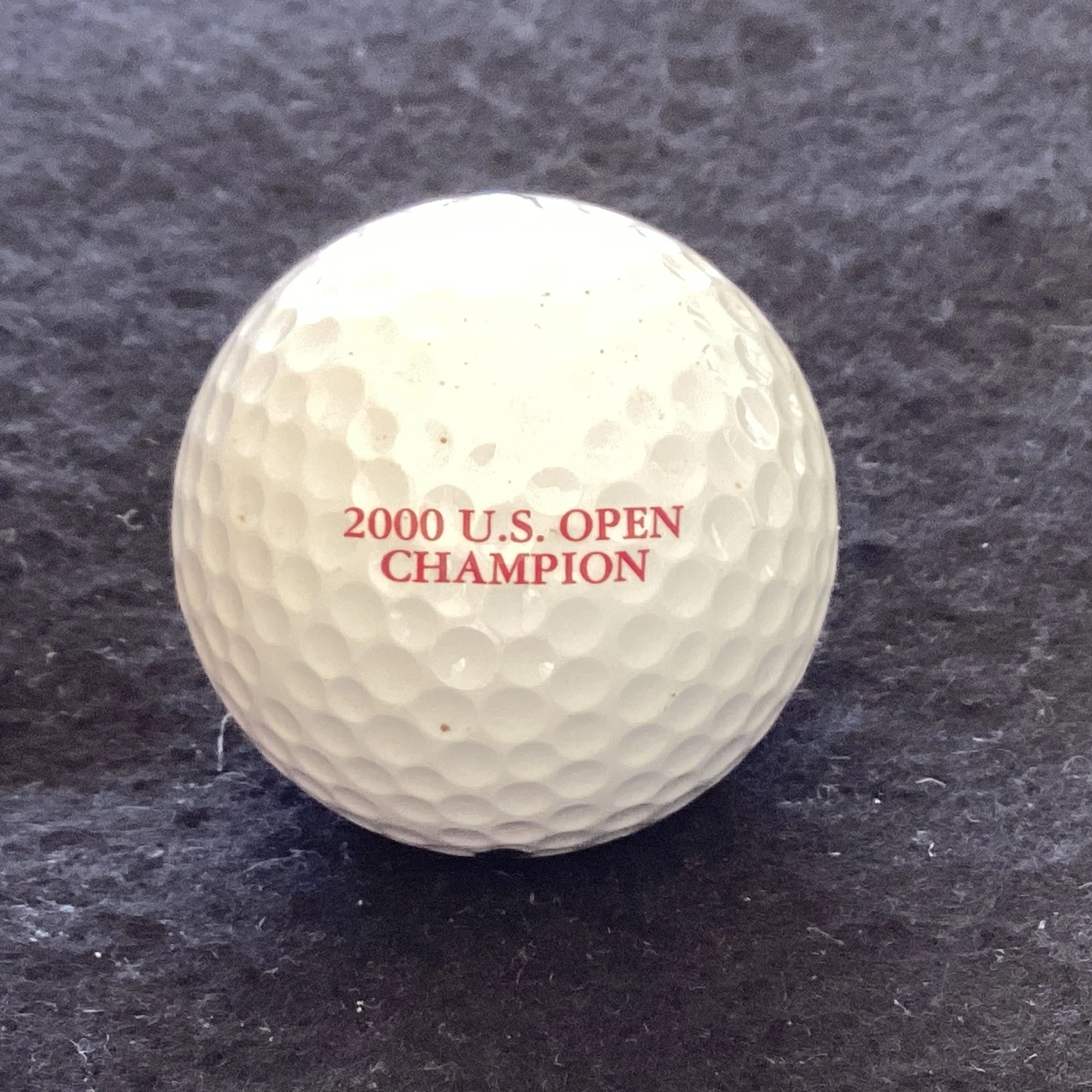 US Open 2000 - Champion Tiger