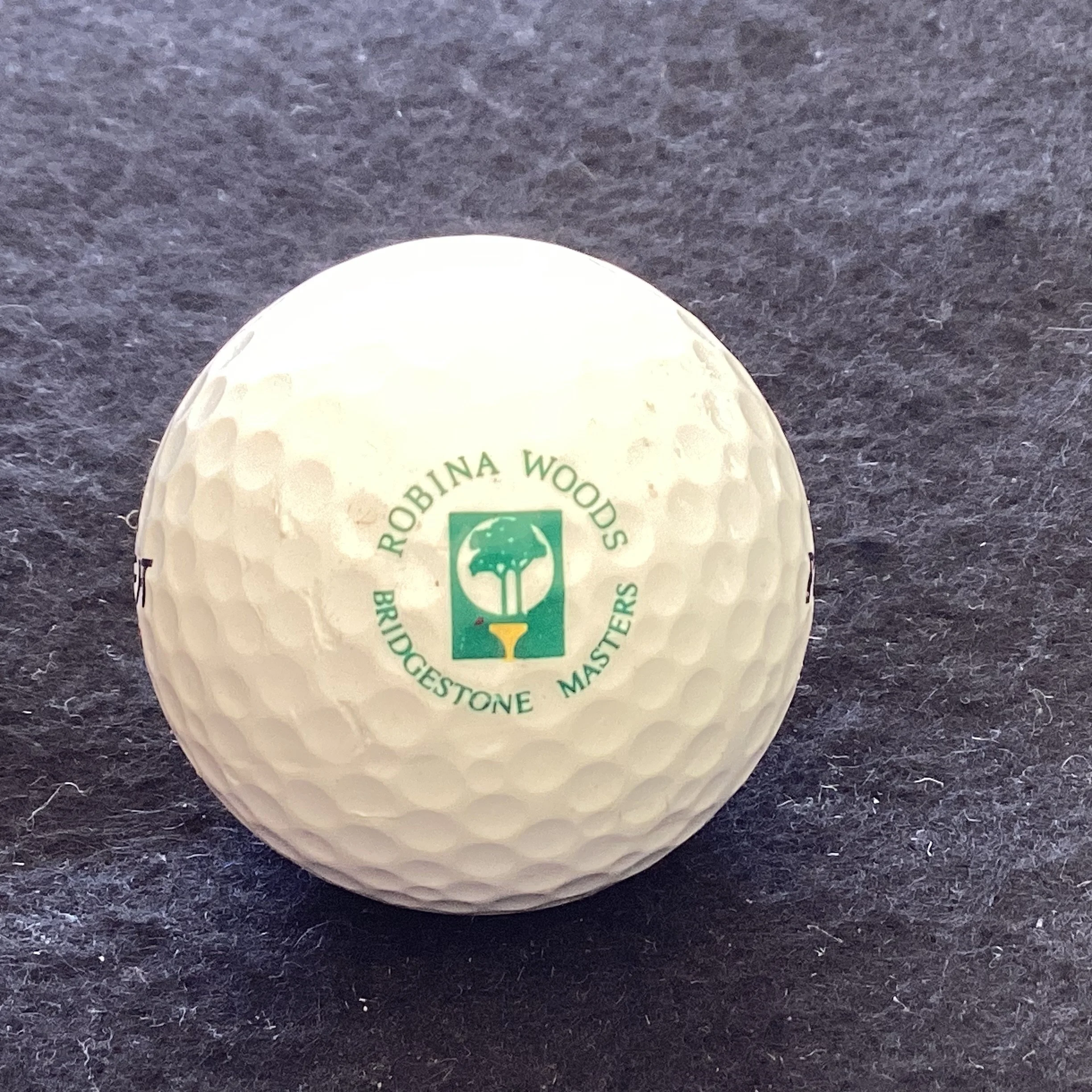 Australian Masters - Bridgestone Austrian Masters Robina Woods