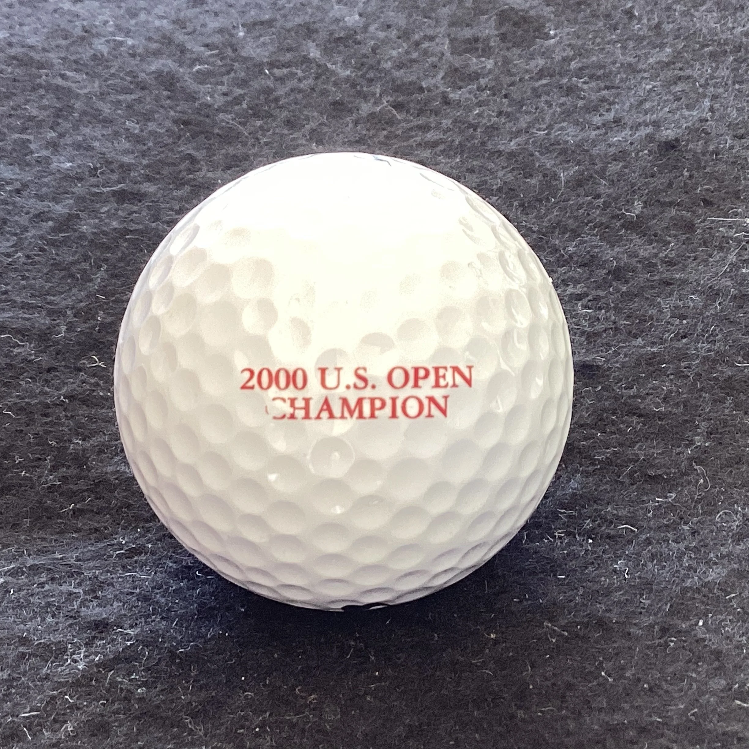 US Open 2000 - Champion Tiger