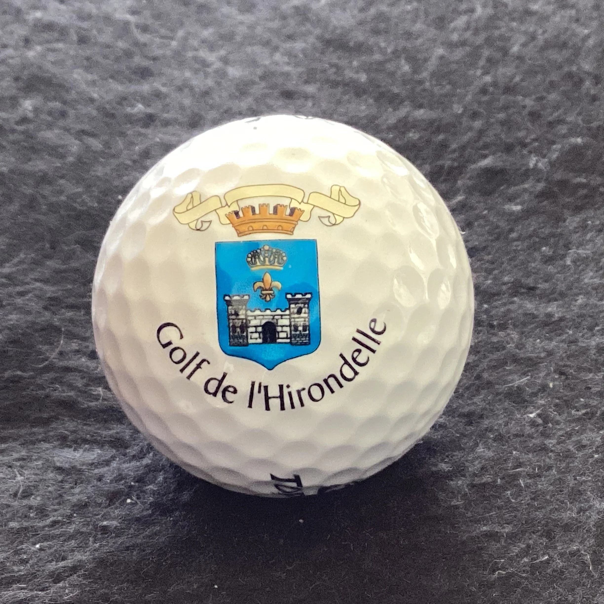 Hirondelle - Golf de L’Hirondelle