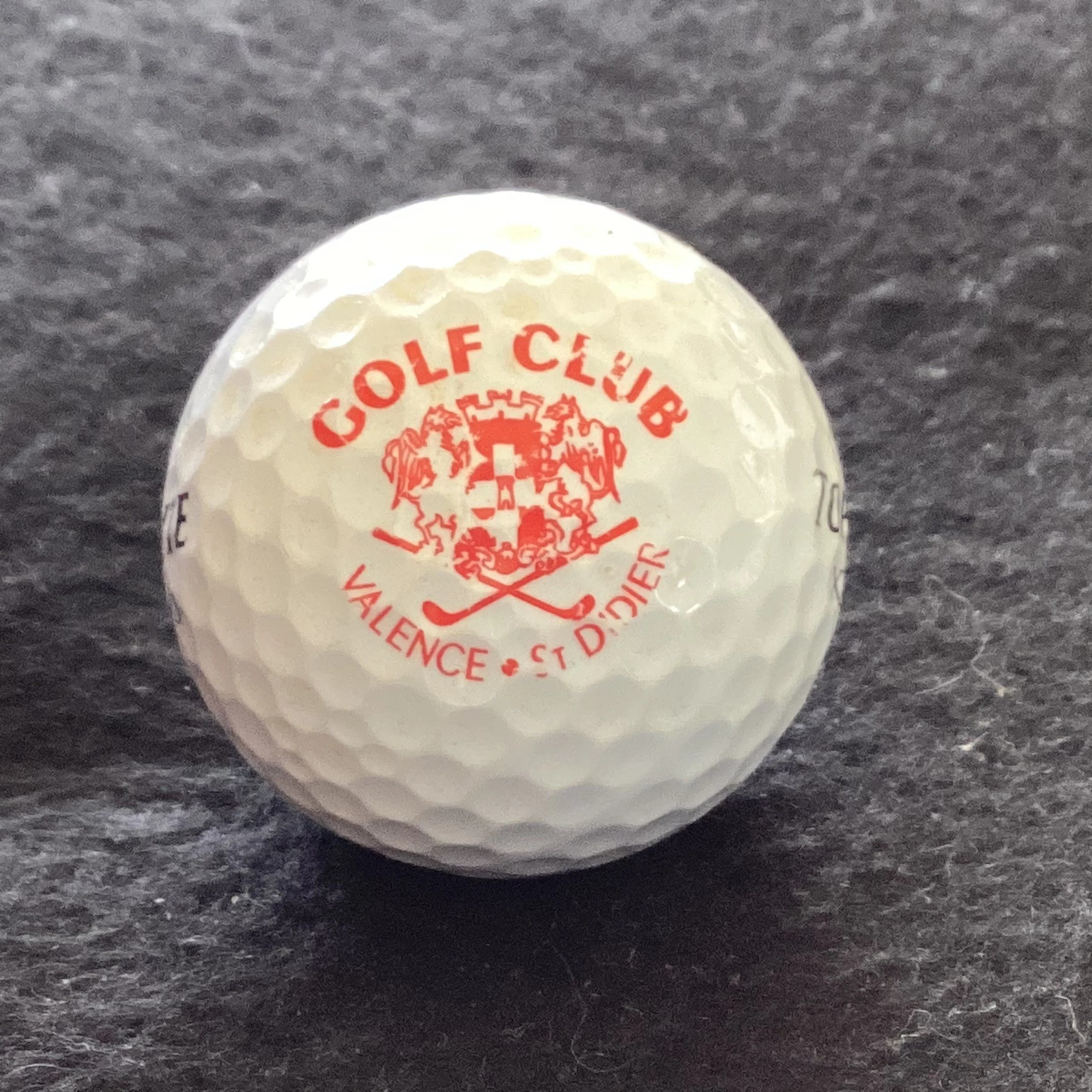 Valence St Didier Golf Club 