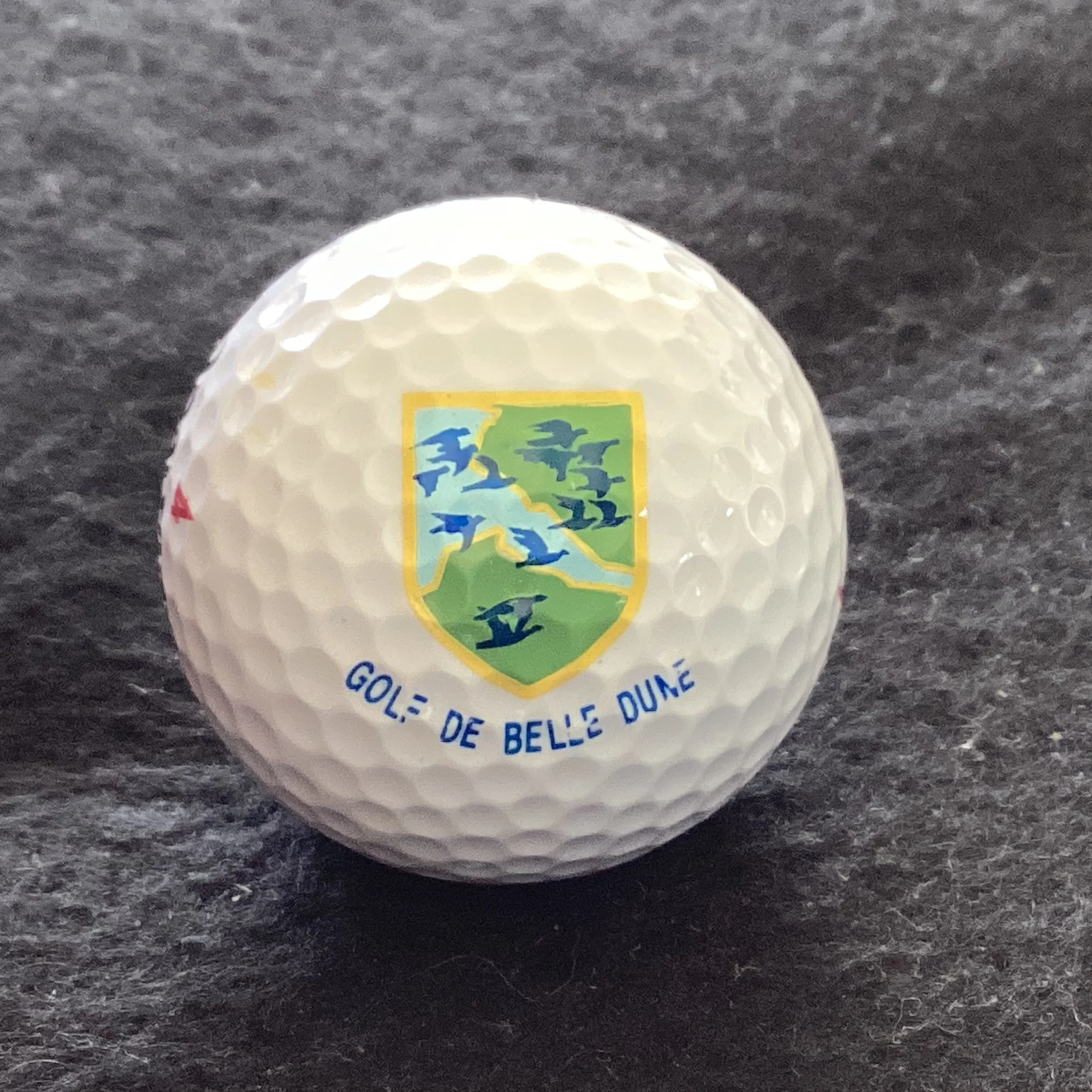 Belle Dune - Golf de Belle Dune