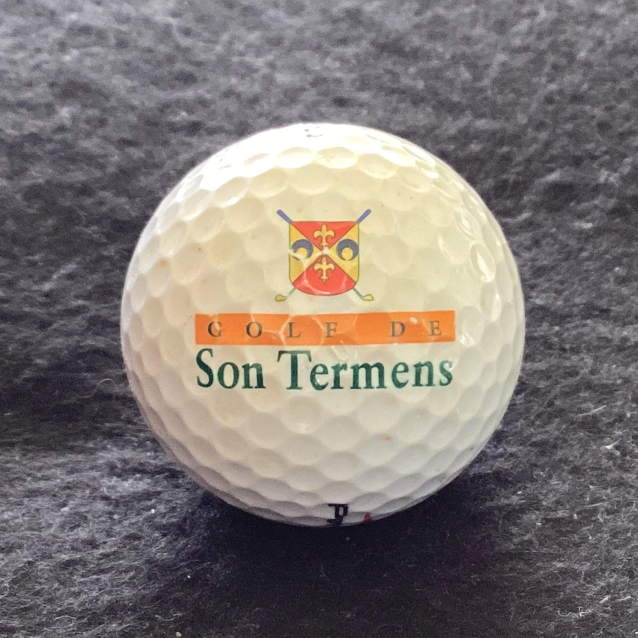 Son Termens  - Golf de Son Termens