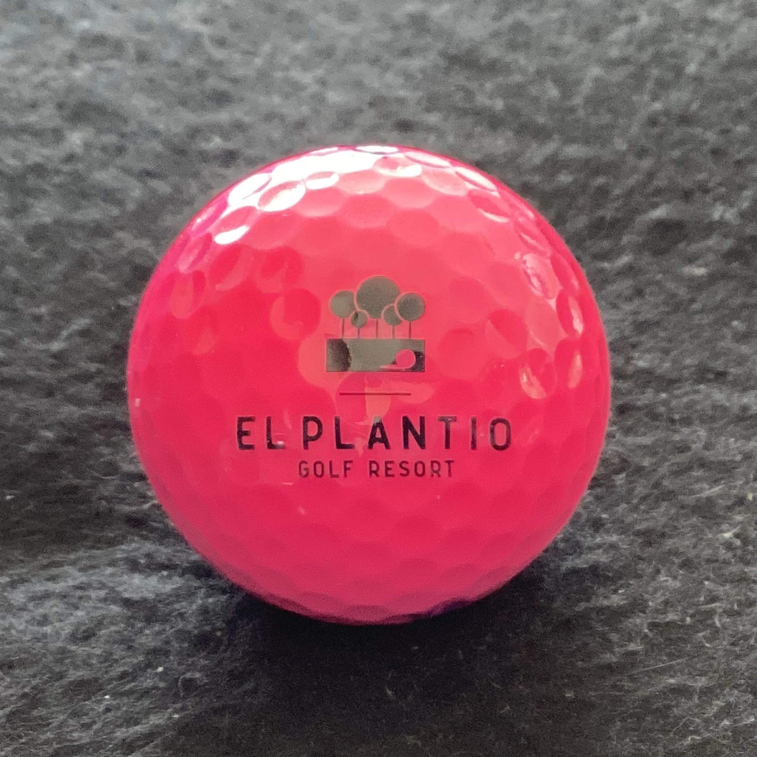El Plantio Golf Resort 
