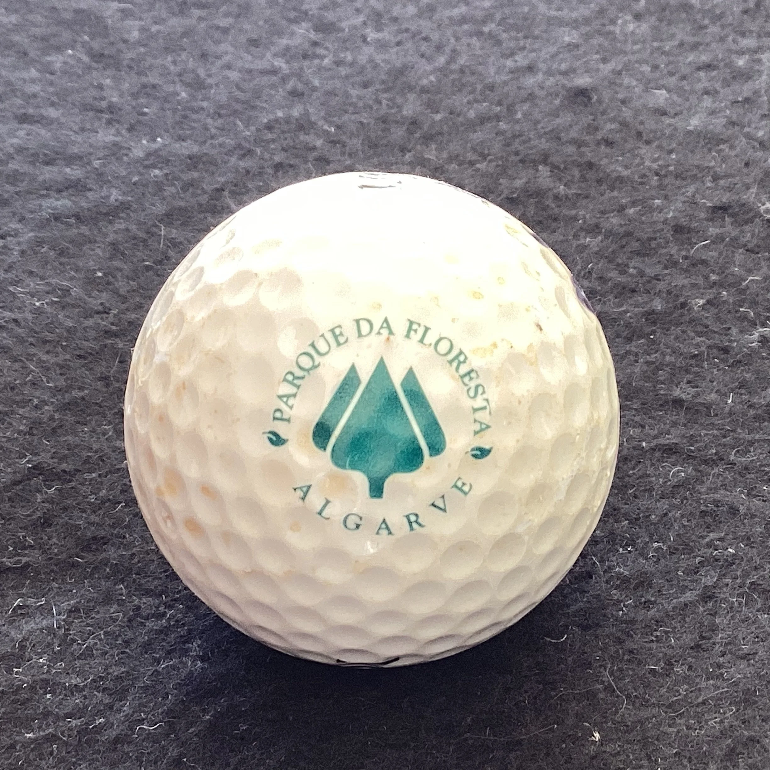 Parque Da Floresta Golf Club 